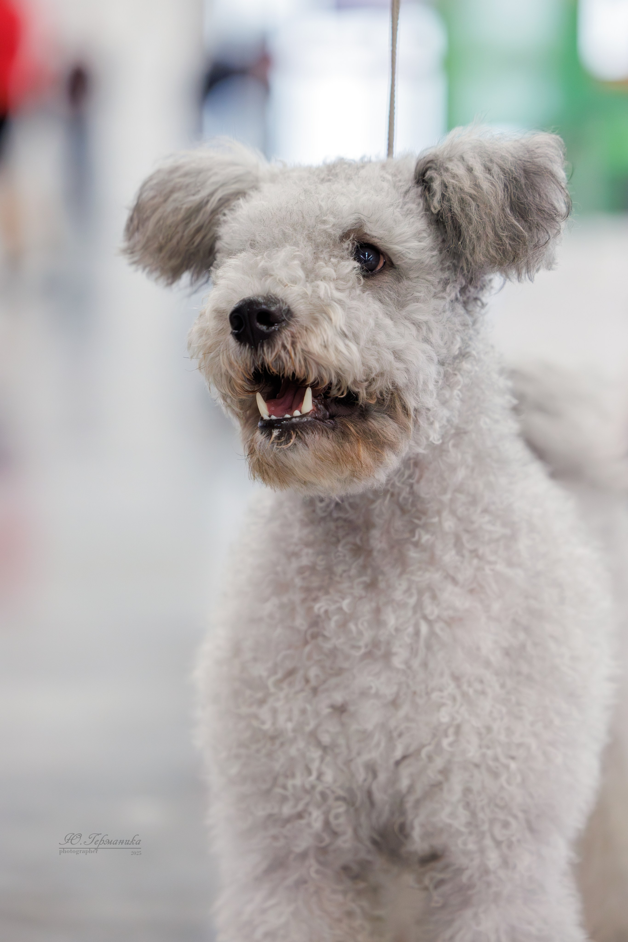 Зилант Казань 29-30.11.2025