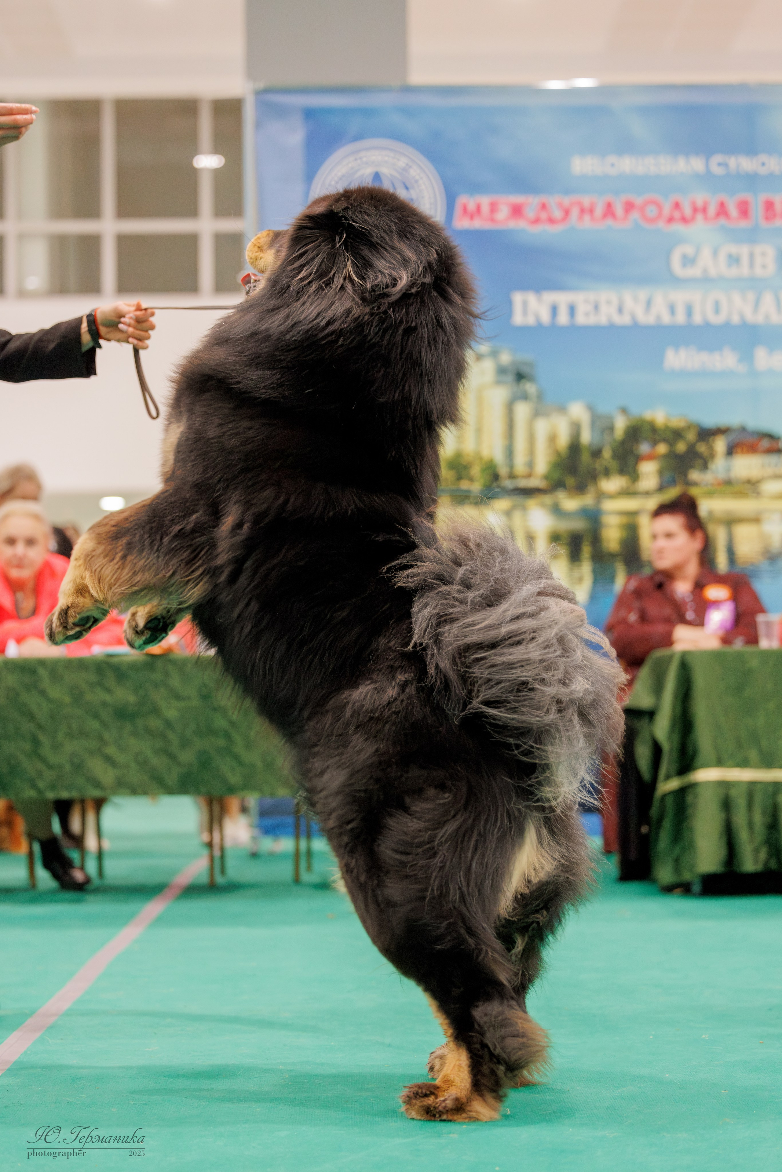 Минск 1-2.03.2025. Фотограф-анималист Юлия Германика