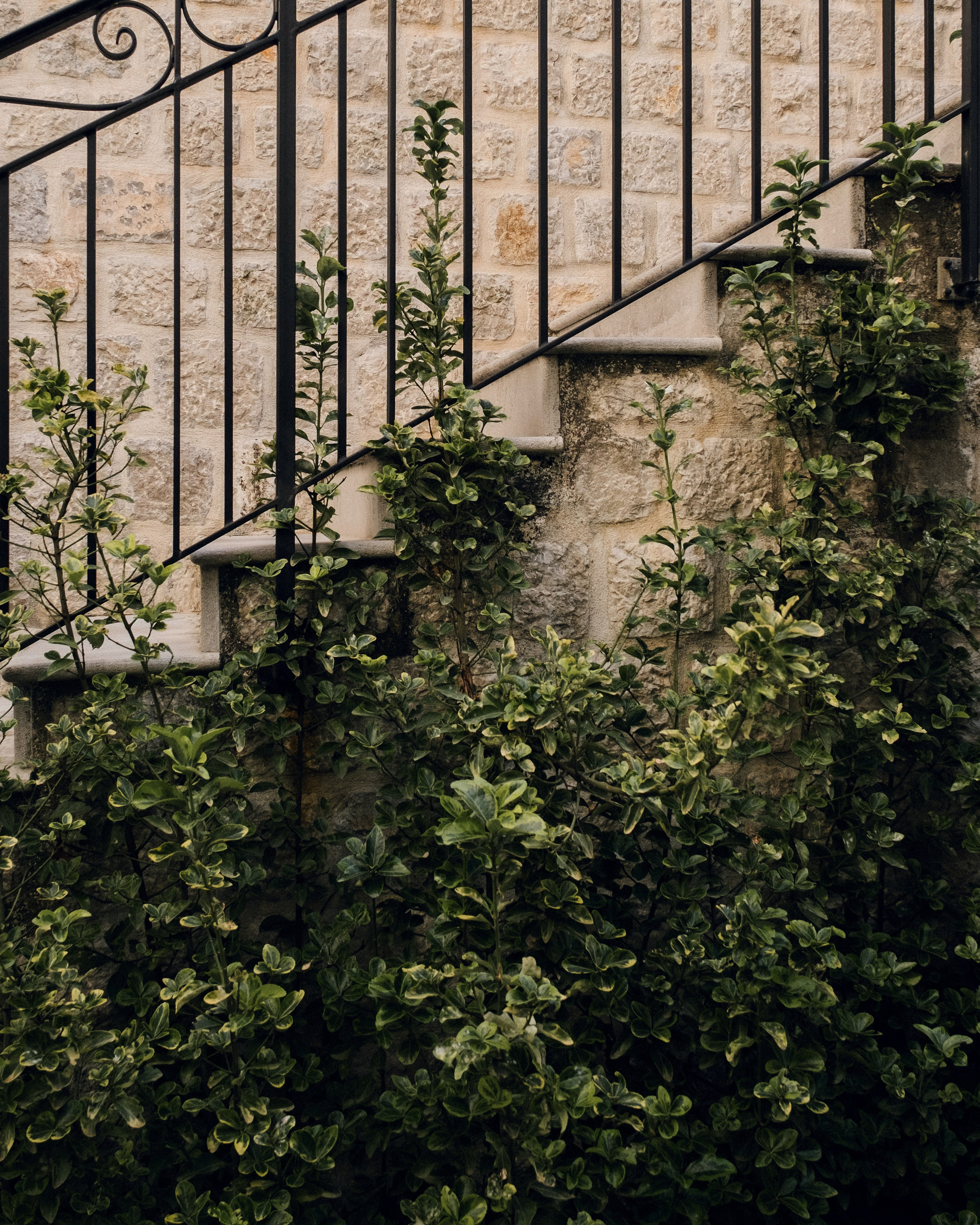 Анна и Александр. Свадьба в Перасте. Семейный и свадебный фотограф в Краснодаре