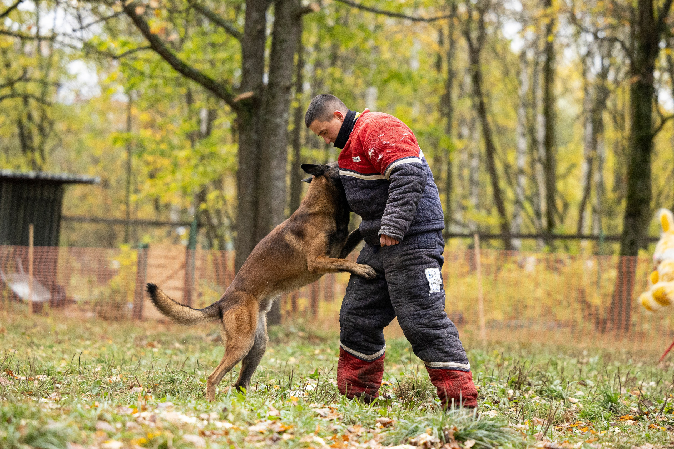 Соревнования по Мондьорингу г. Вологда. Фотограф-анималист Анна Маринич