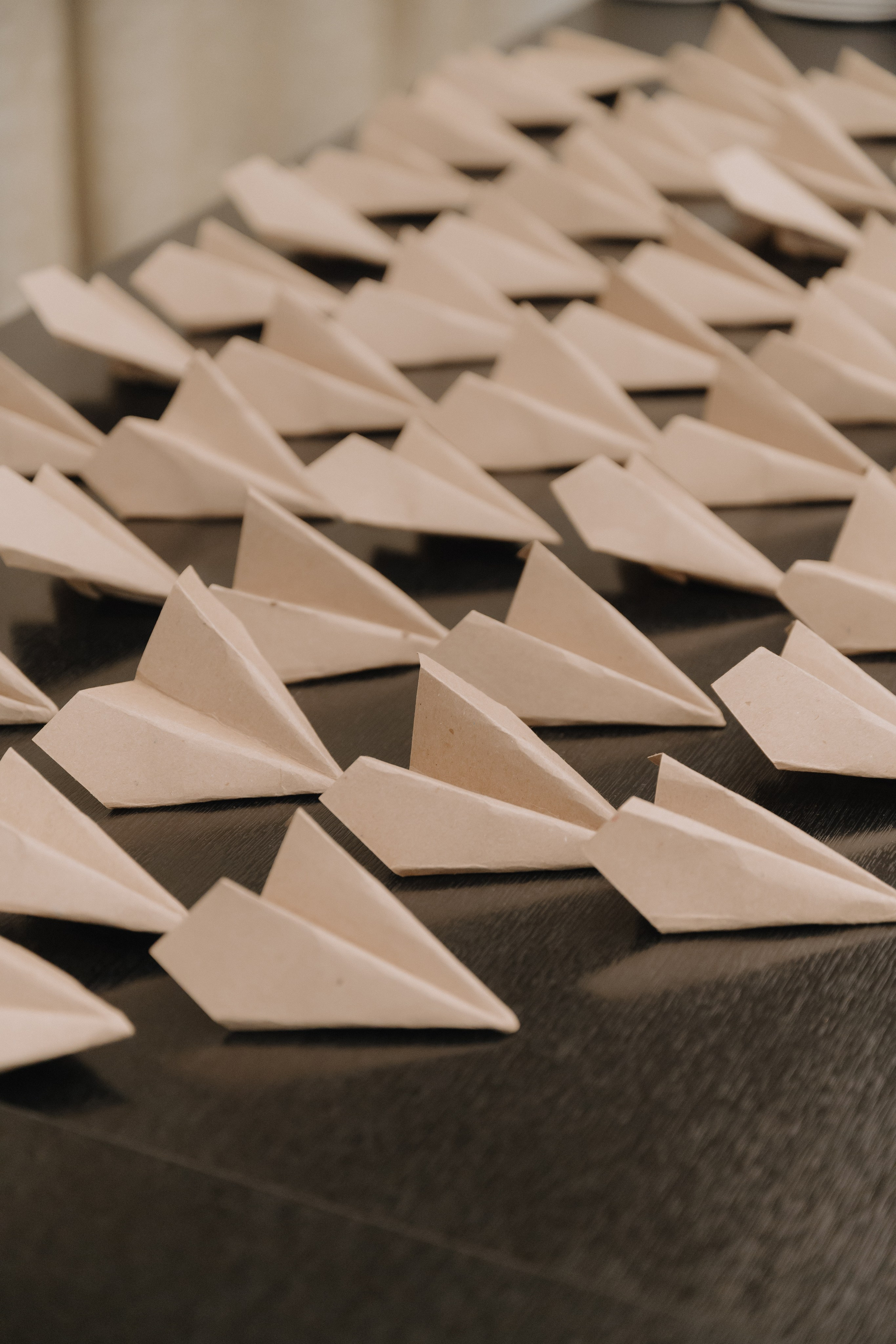 Елизавета & Антон