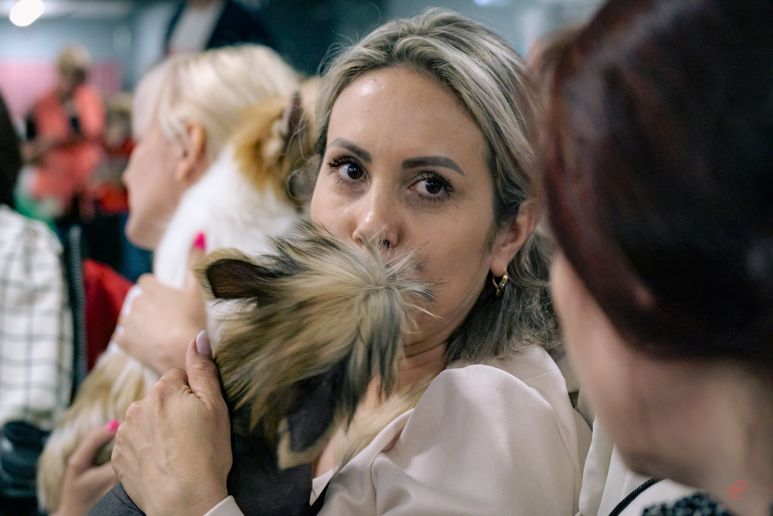 Национальная выставка китайских хохлатых собак 2023. Питомник китайских хохлатых собак Poale Ell: купить щенка