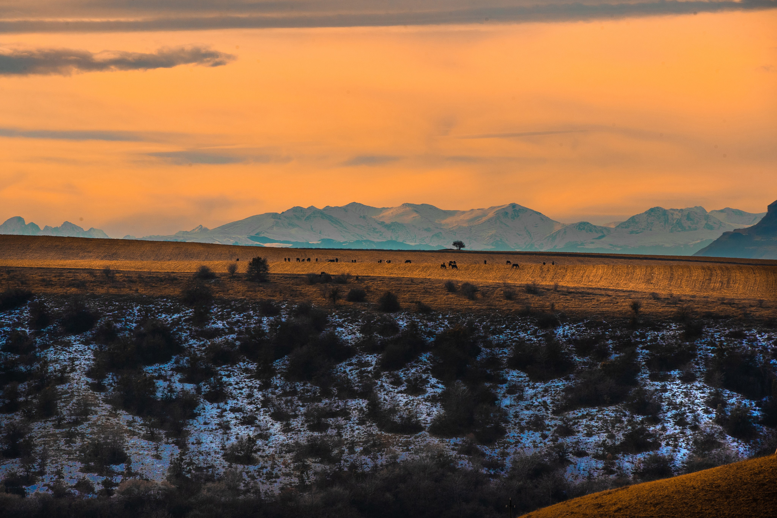 Фототуры в Карачаево-Черкессии 2019-2020. Фотограф-анималист Ксендзова Кристина