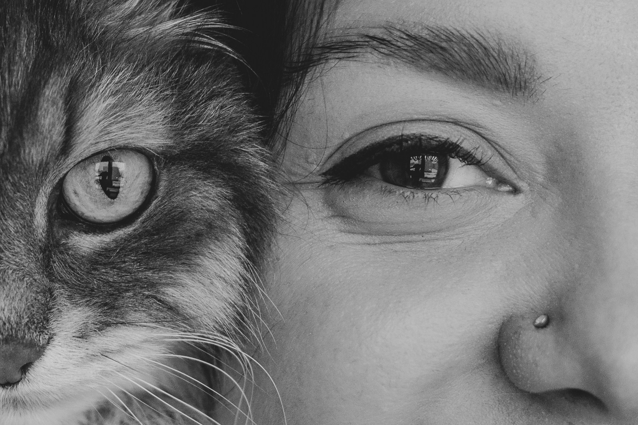 Natalia Finch Photography — Family, Kids & Pet Photographer in Chicago, IL