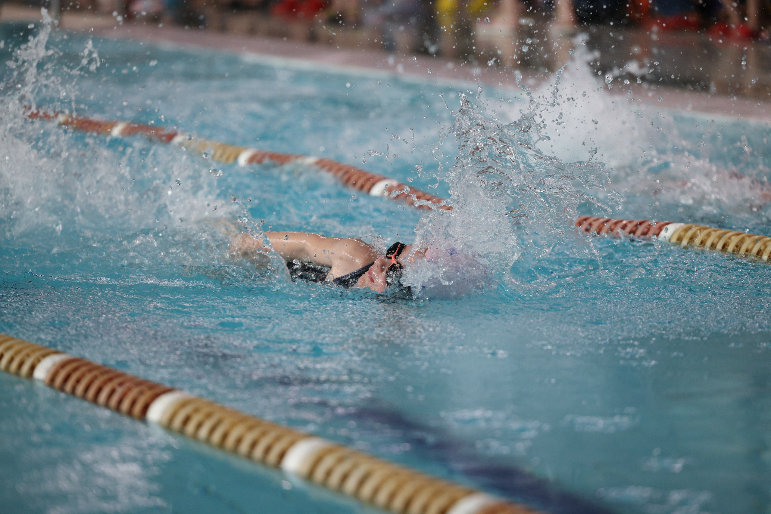 Веселый дельфин. Плавание. Дети 8-9 лет. Фотограф Александр Заломаев