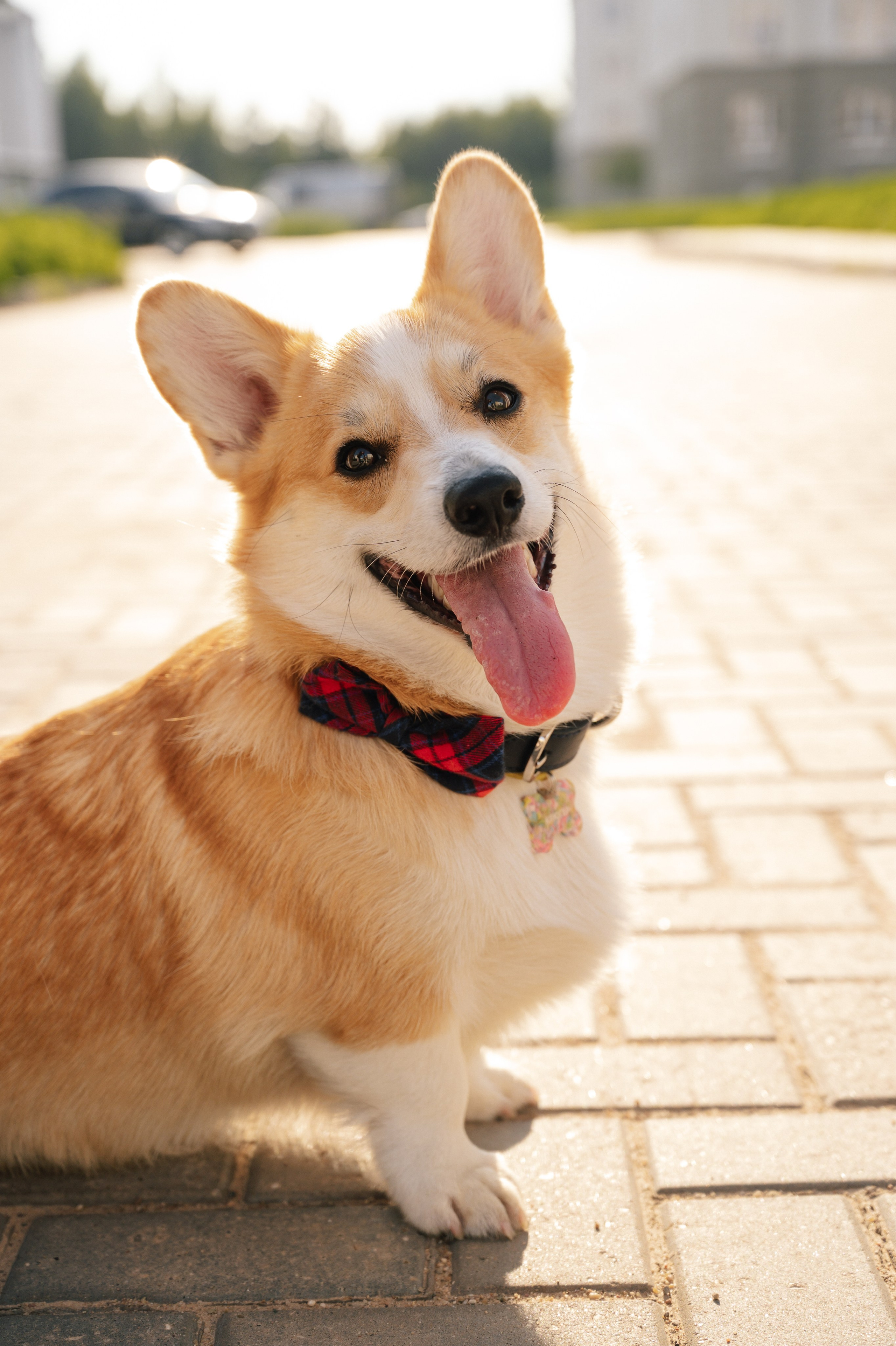 Love story. Профессиональный фотограф Кристина Кирьянова