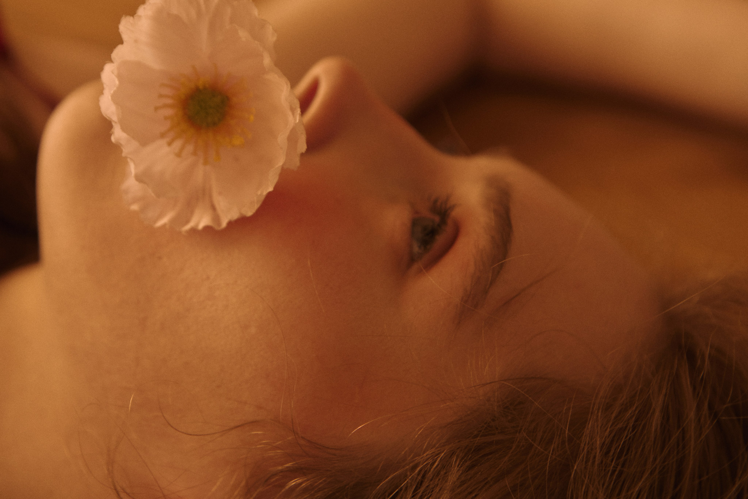 Bloom