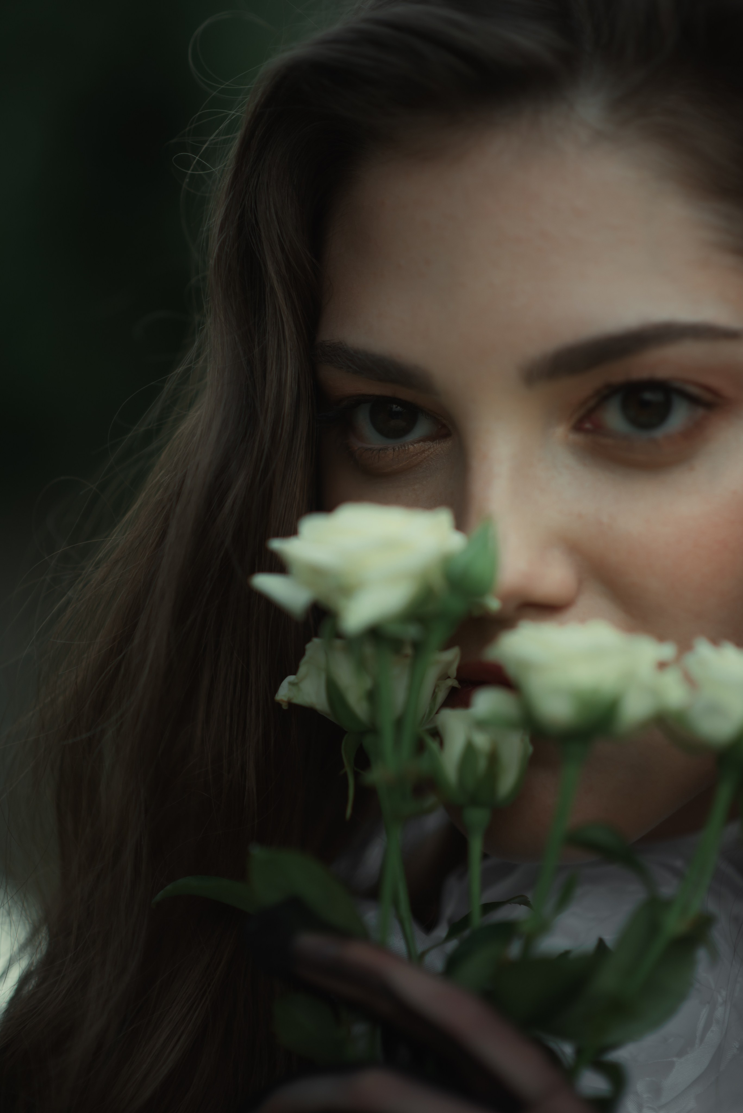 Сказочная аристократия. Главная