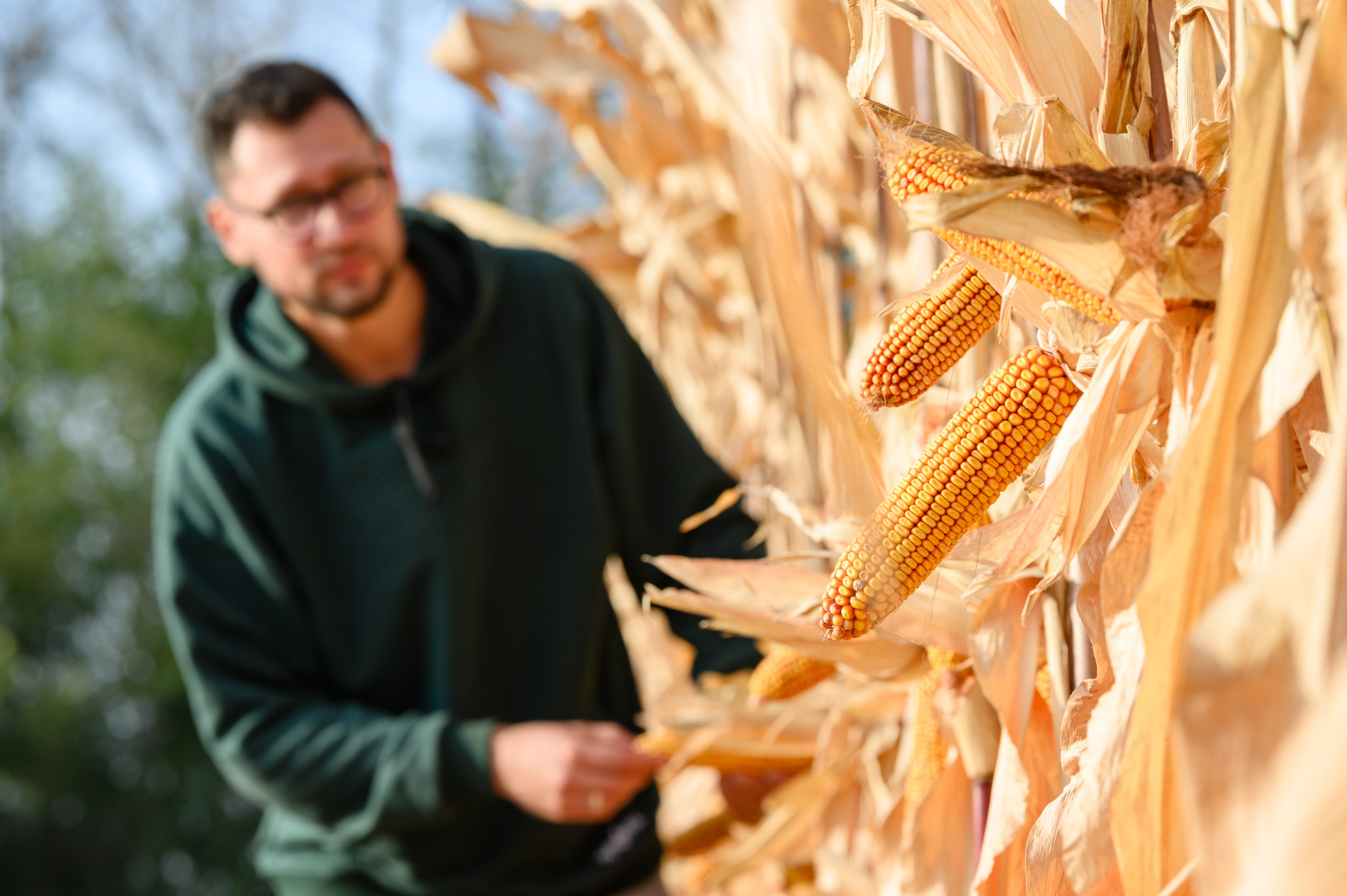 Проекты. Профессиональный фотограф Вячеслав Плацында | Липецк |