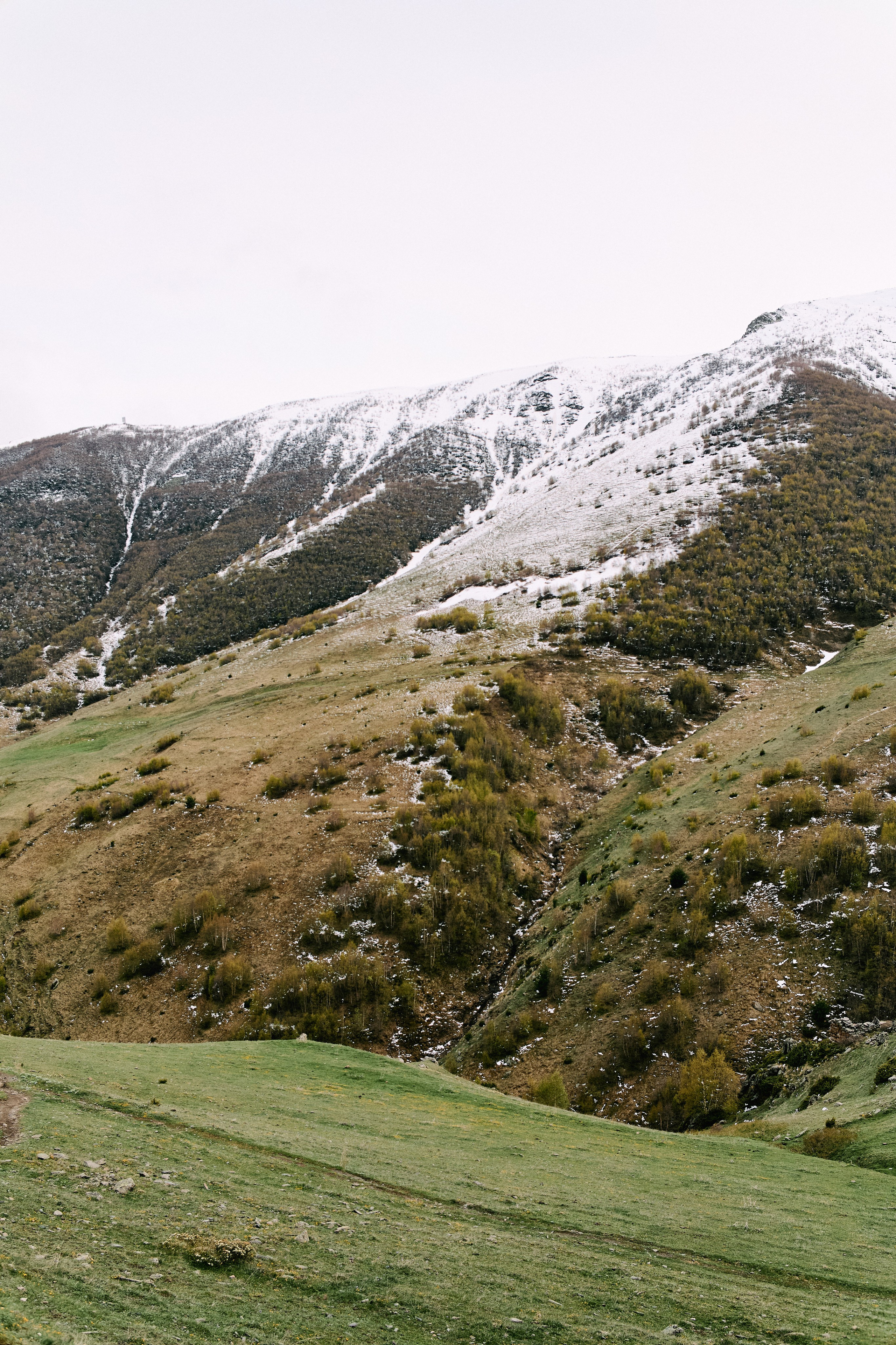 Грузия. Профессиональный Фотограф во Владимире, в Москве и в Суздале — Полина Романычева