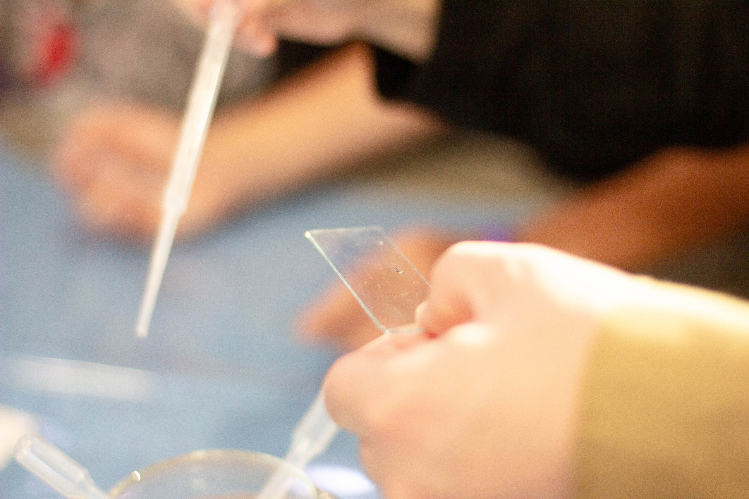 Форум родные-любимые 2024. Фотограф мероприятий и спорта: юбилеев, дней рождений и корпоративов из Москвы