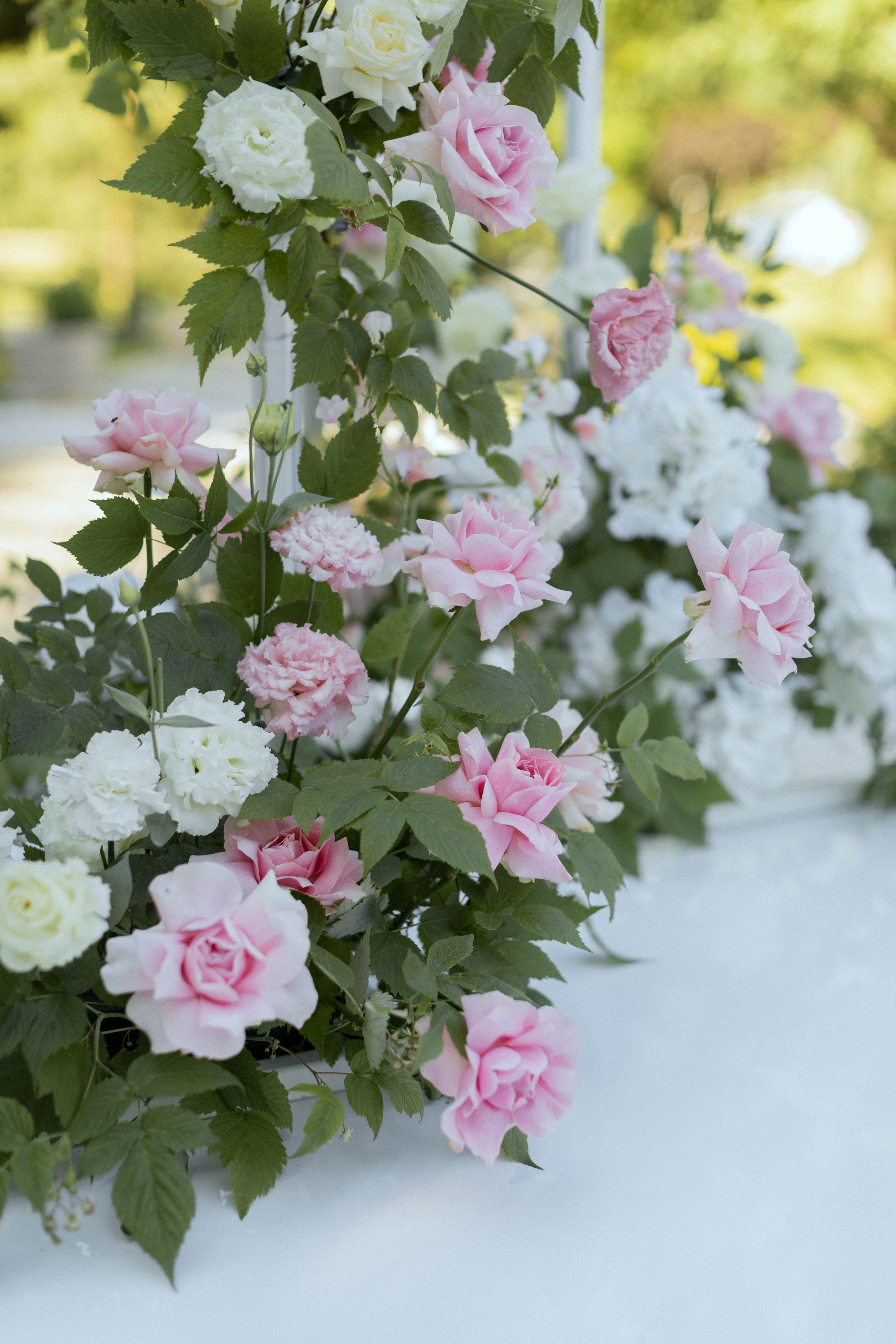 Марина | Владимир