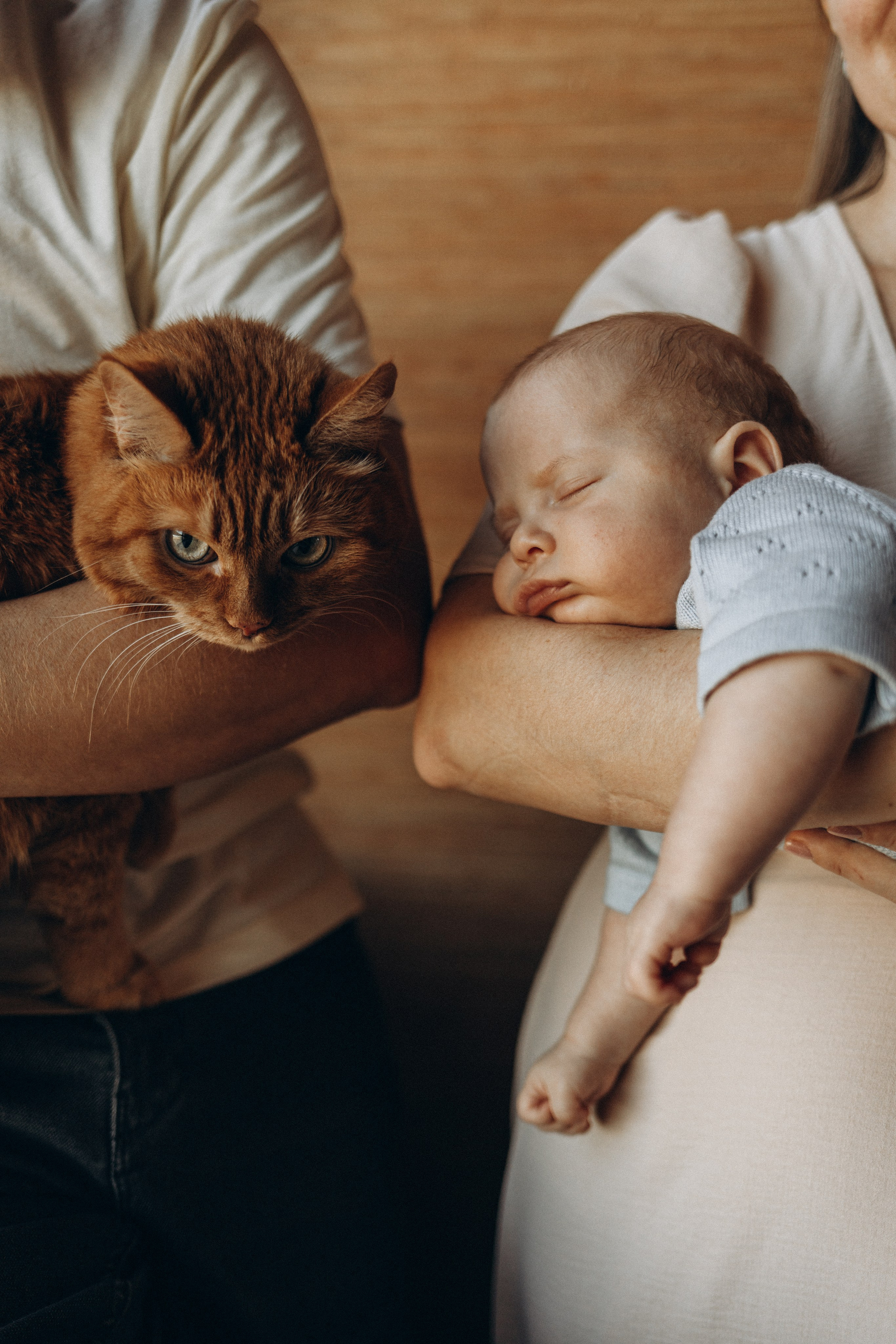 Домашние. Фотограф Москва