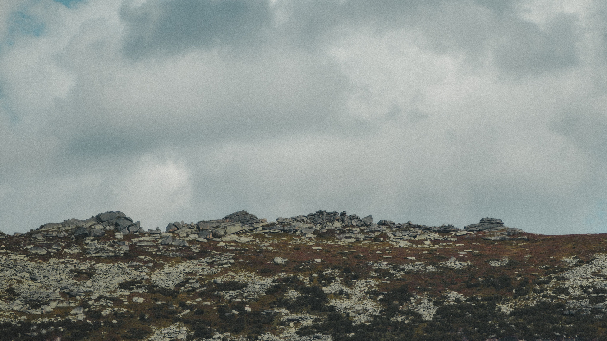 Other. Фотограф Абакан|Фрейман Никита