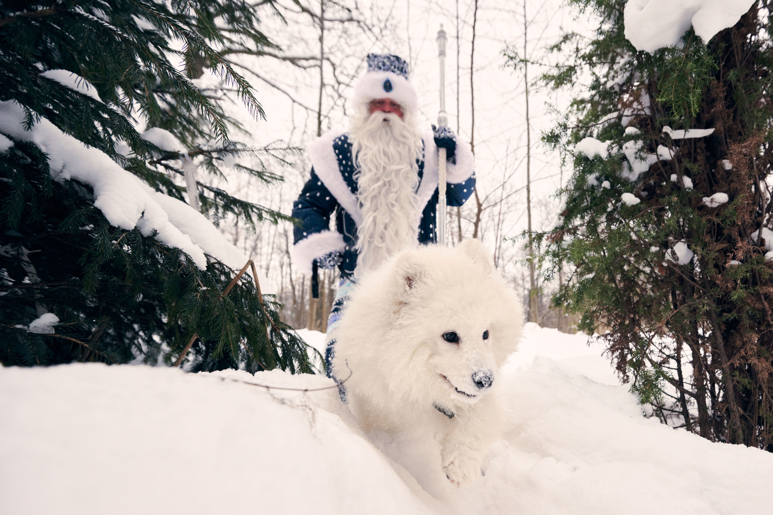 Дед Мороз с Платоном. Никита Хохловский фото и видео продакшн