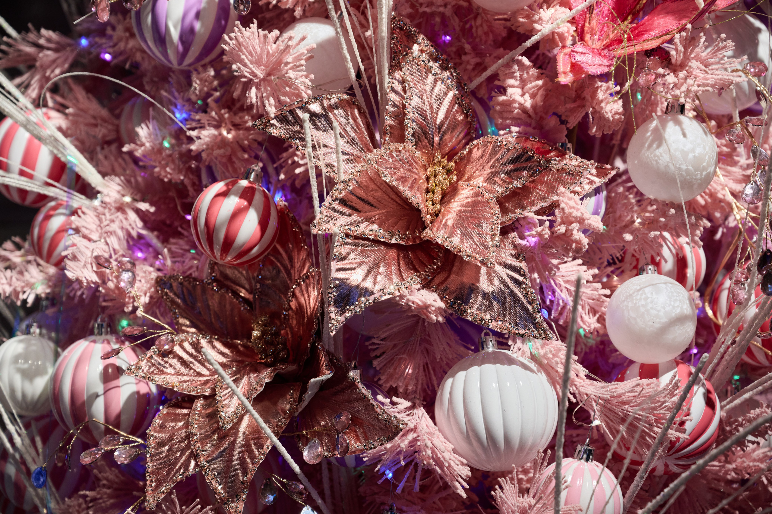 Интерьеры Усадьбы Деда Мороза. Никита Хохловский фото и видео продакшн