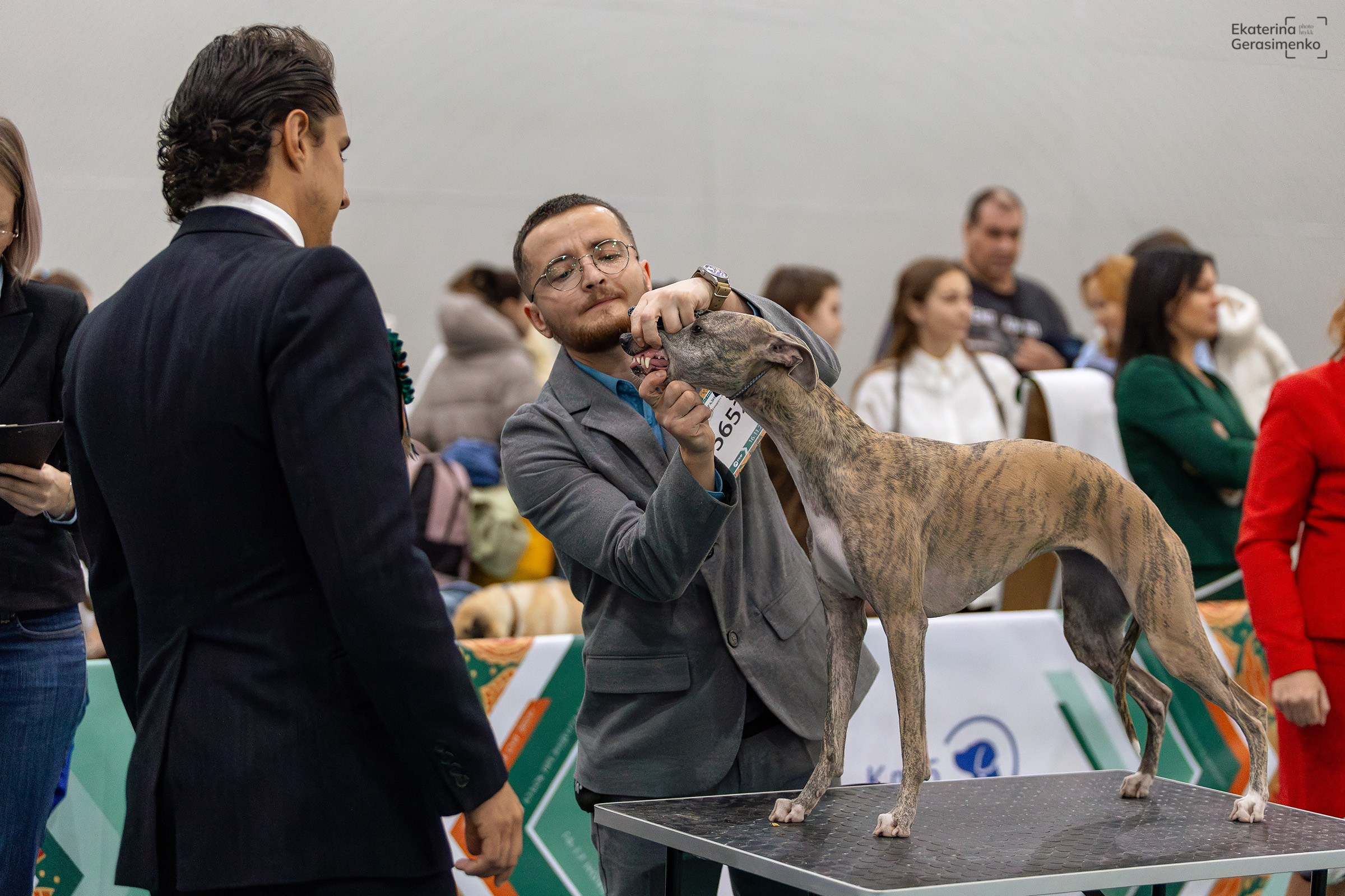 16–17 ноября 2024, Выставка ЕВРАЗИЯ, г. Москва. Htykk_photo