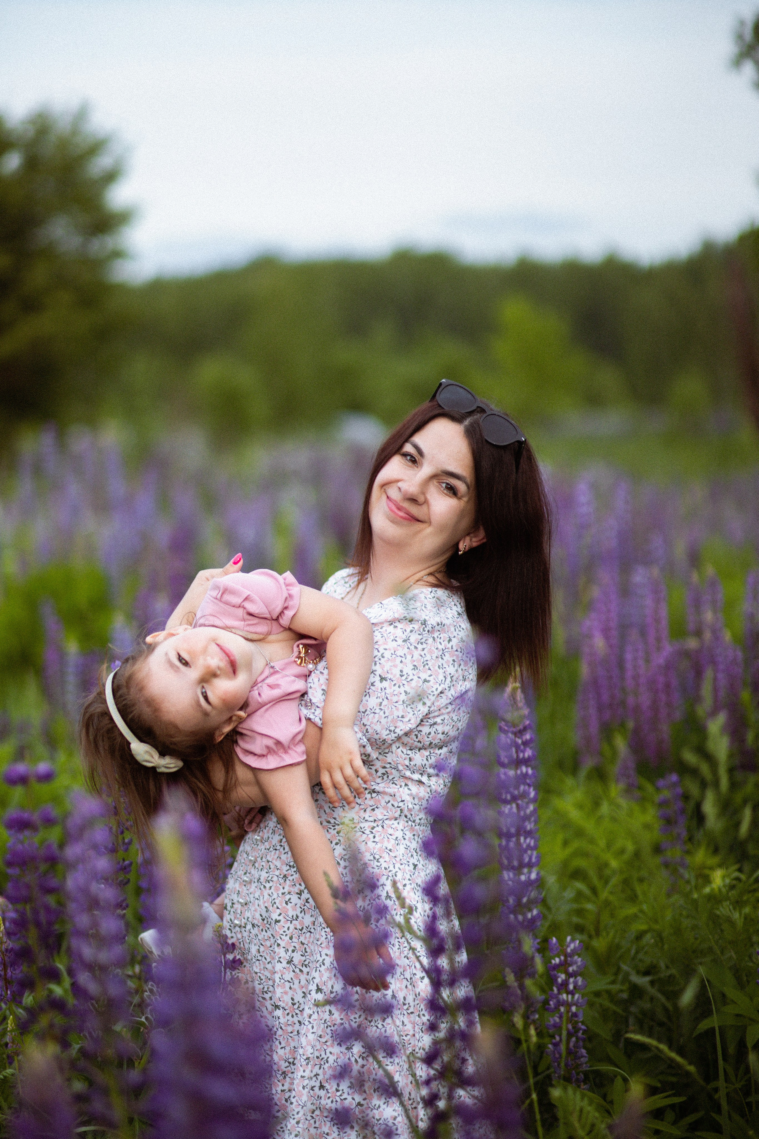 Июньские люпины. Фотограф в Москве/Санкт-Петербурге