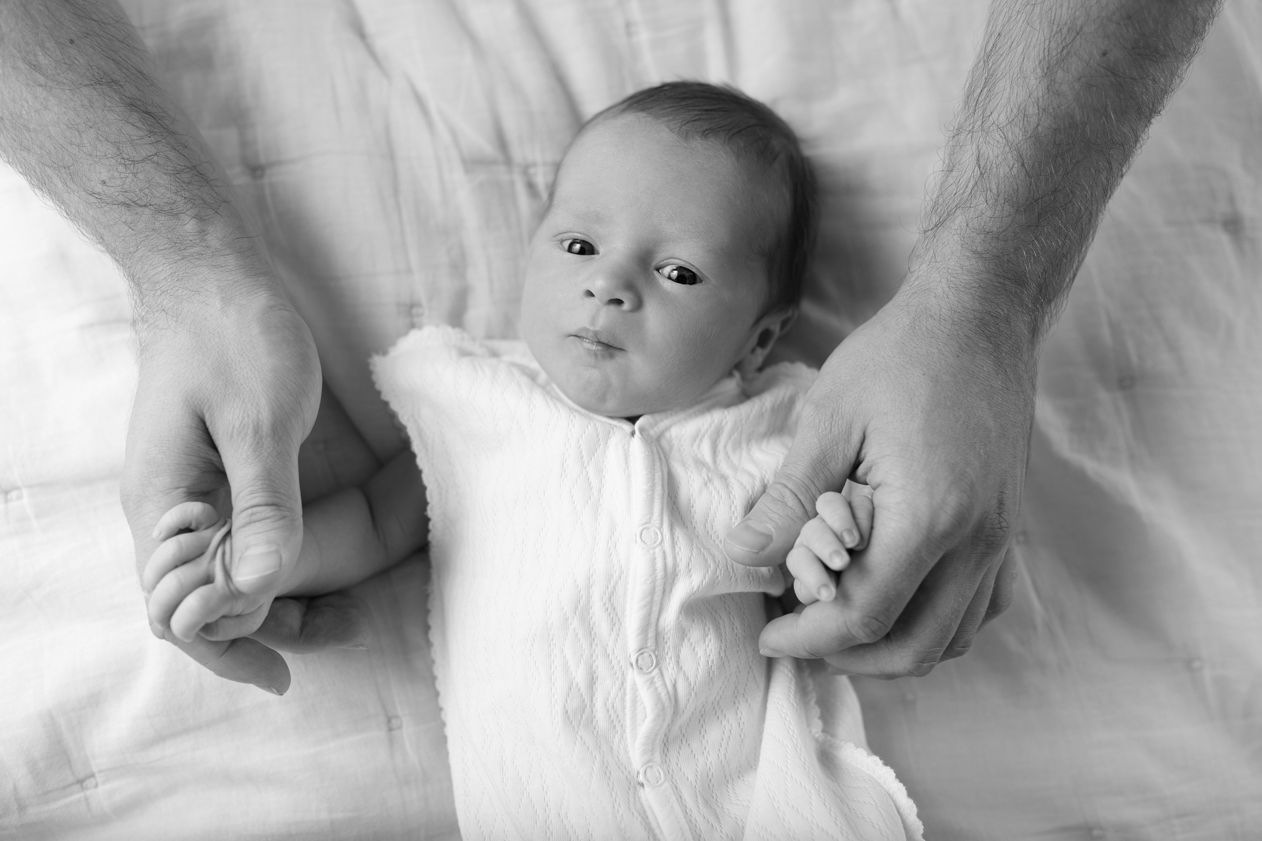 Лев. Лилия Алтухова — фотограф новорожденных в Москве и области