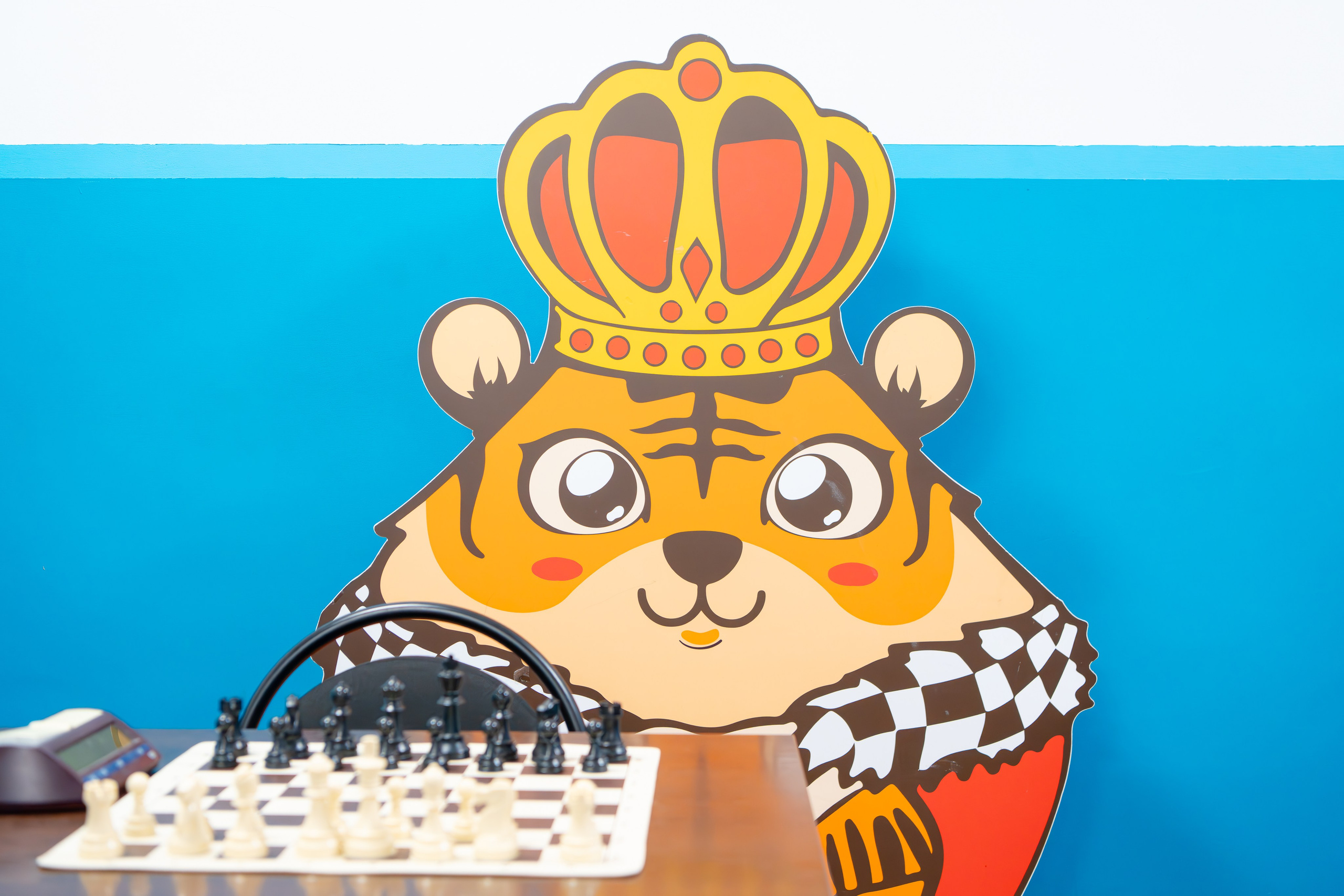 Шахматы. Декабрь 2025. Любимый фотограф