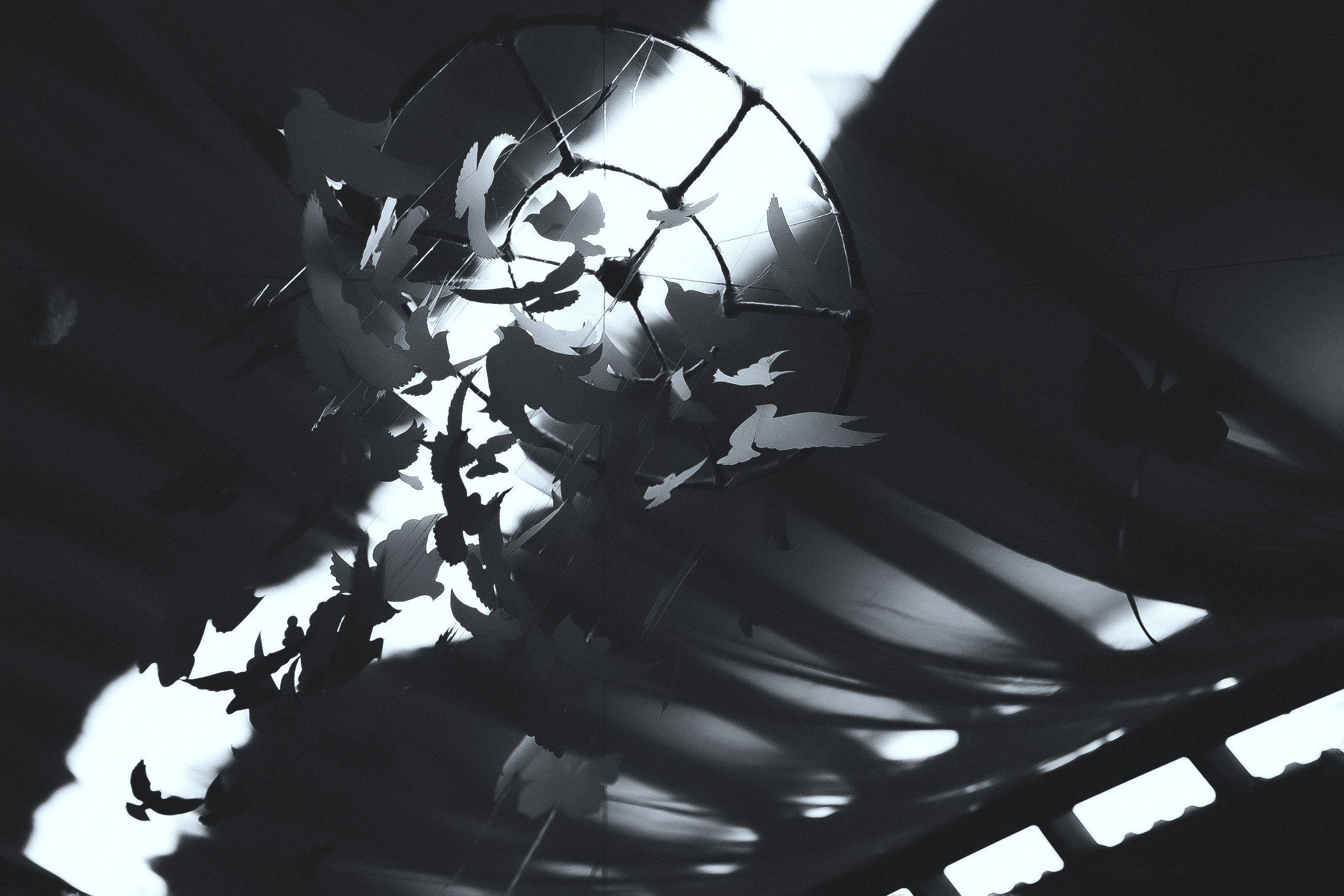 Александра и Григорий. Murad Kamazov