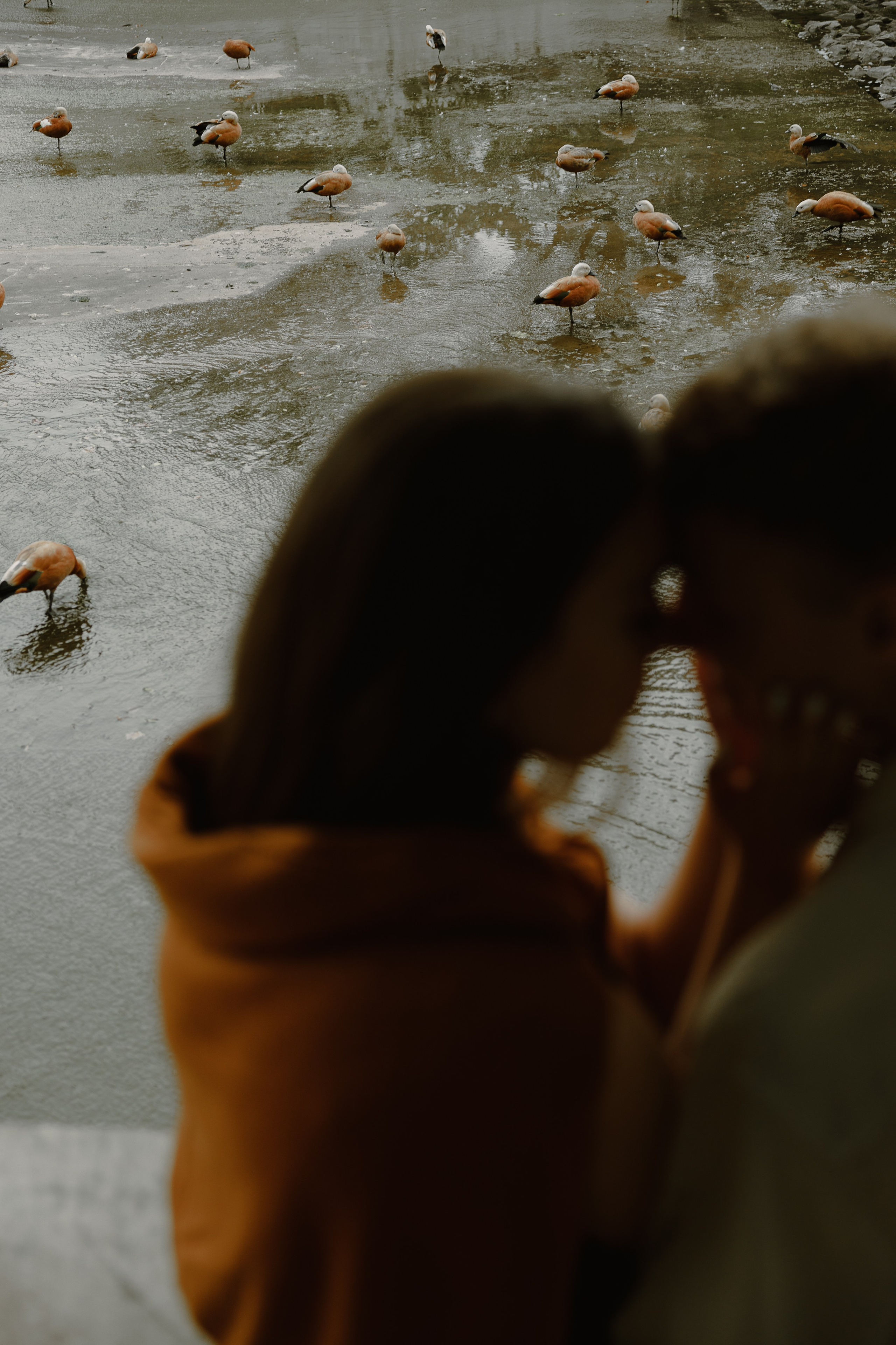 Вадим и Мария. Фотограф Москва