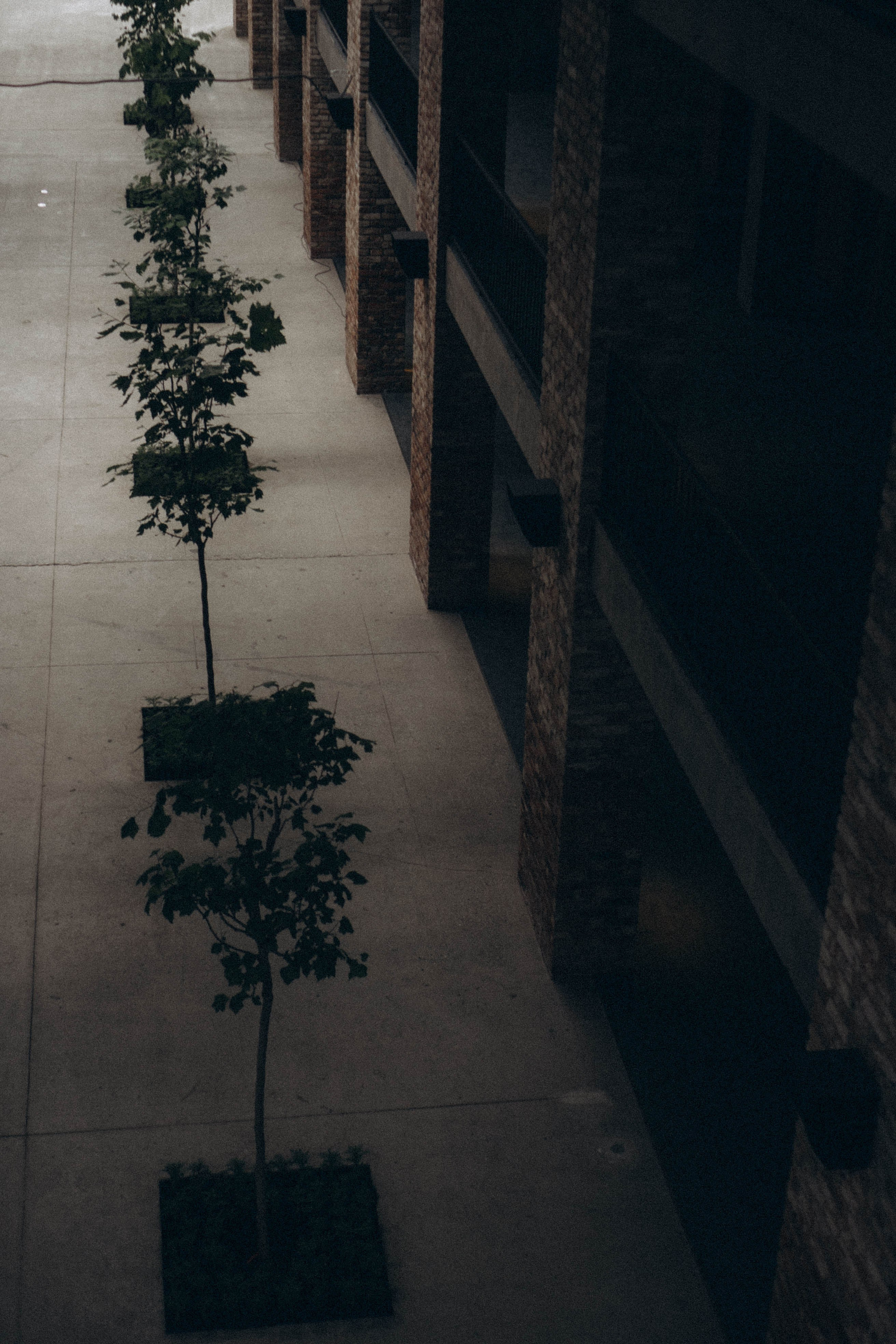 Кавказ. Профессиональный фотограф, Санкт-Петербург — Виктория Богомолова