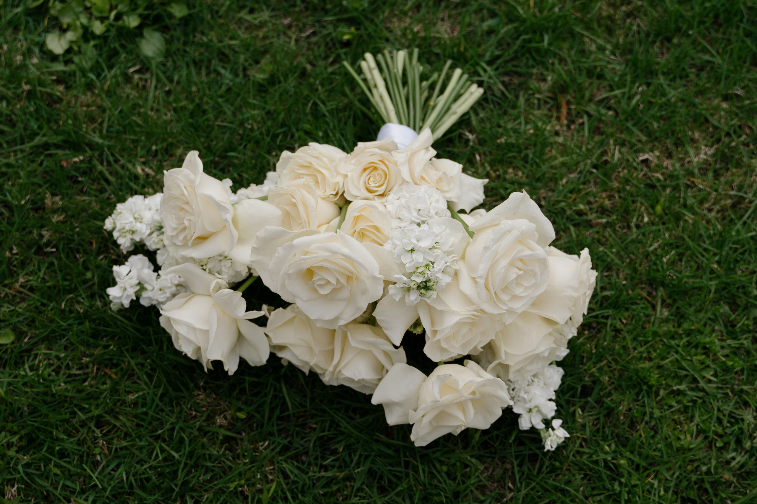 Юрий и Софья. Свадебный и семейный фотограф в Санкт-Петербурге Дмитрий Панин