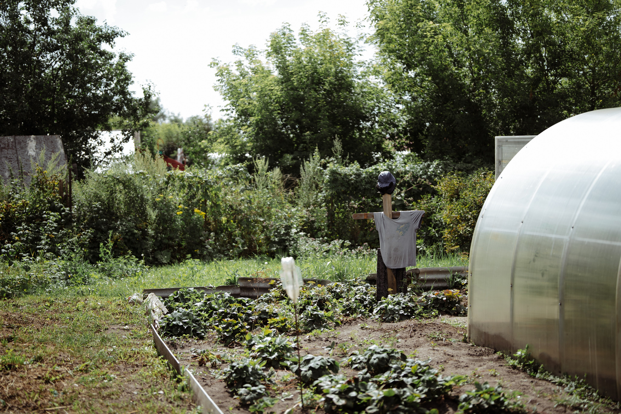 Сюжет № 10|Иван Викторович Евстифеев