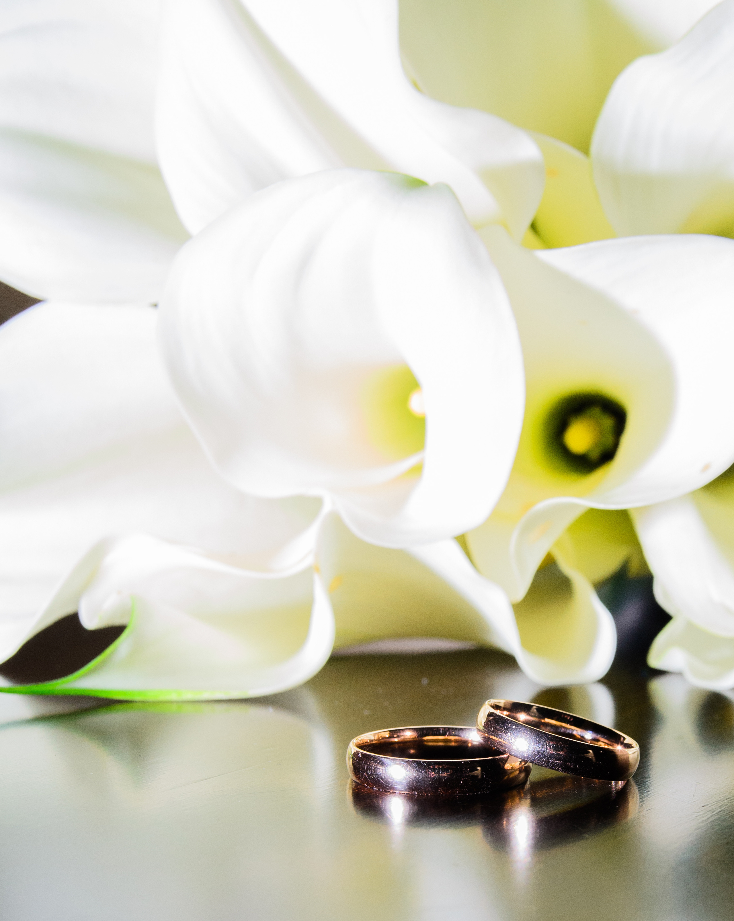 Фотограф Барнаул | Александр Сысоев