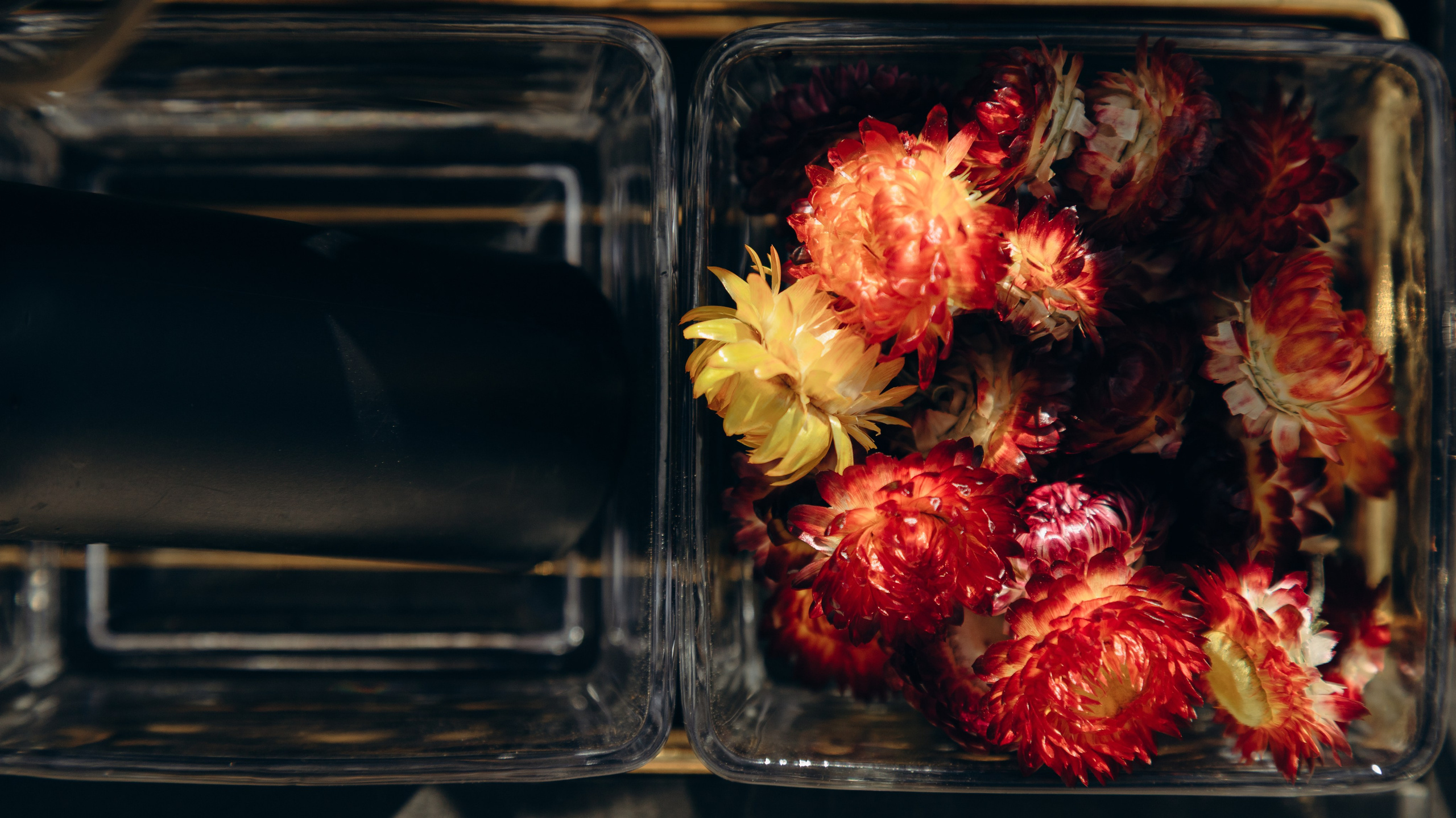 Backstage for ProLight. Свадебный фотограф в Санкт-Петербурге и Москве Андрей Чернов