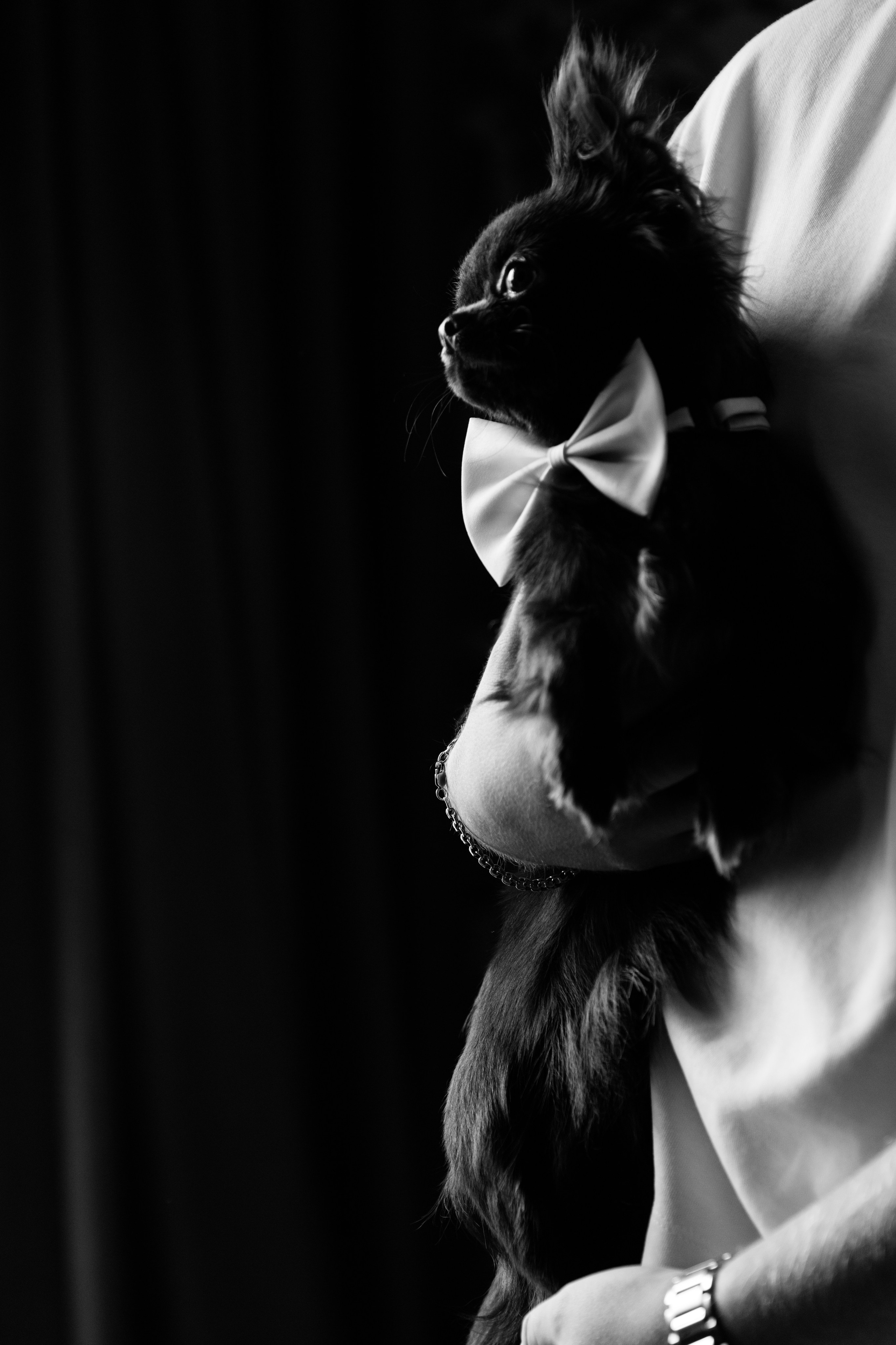 Nikita&Katya. Свадебный фотограф в Санкт-Петербурге и Москве Андрей Чернов