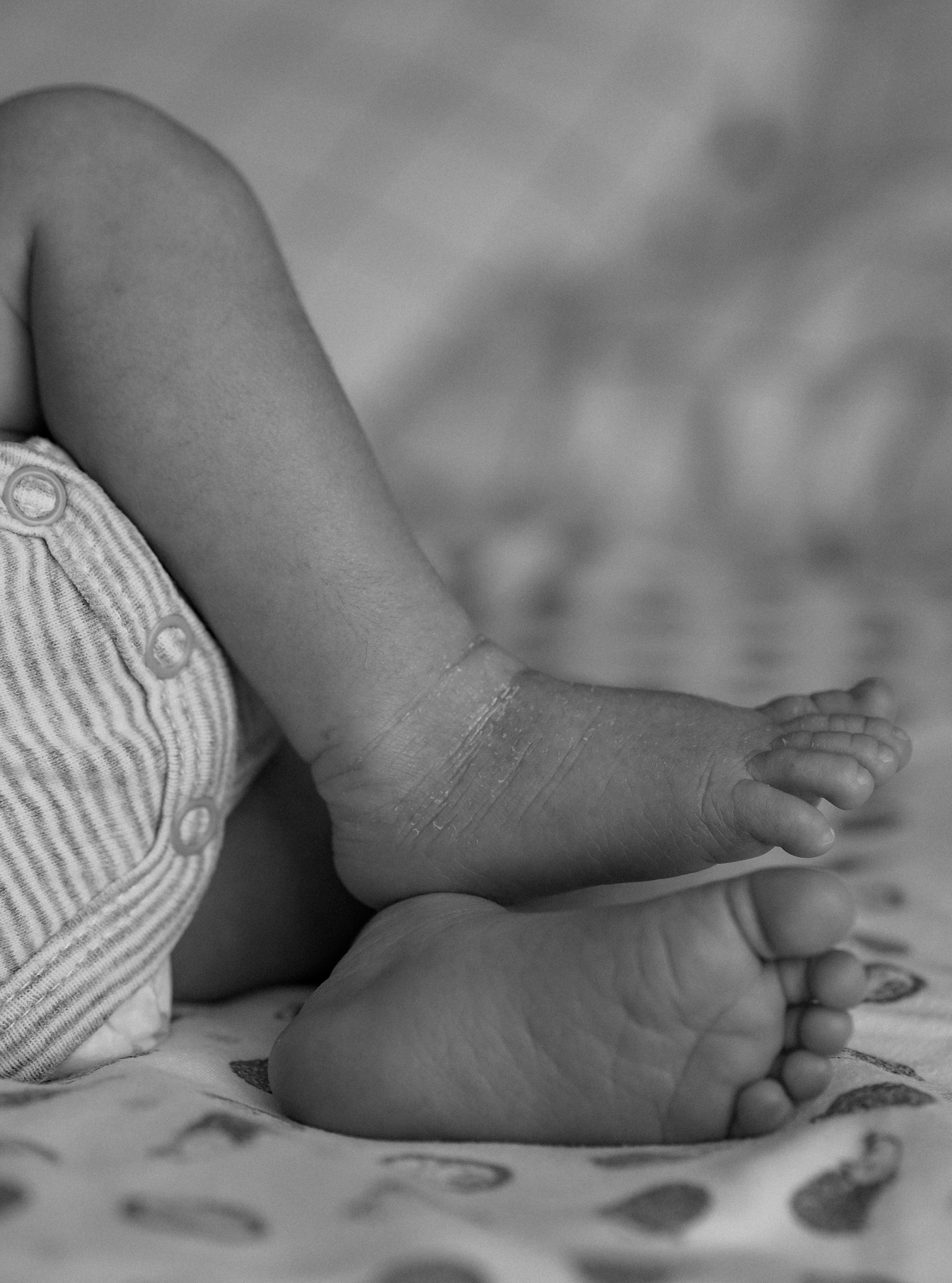 Владимир, Екатерина, Давид и Адам. Портретный фотограф Алёна Счетчикова