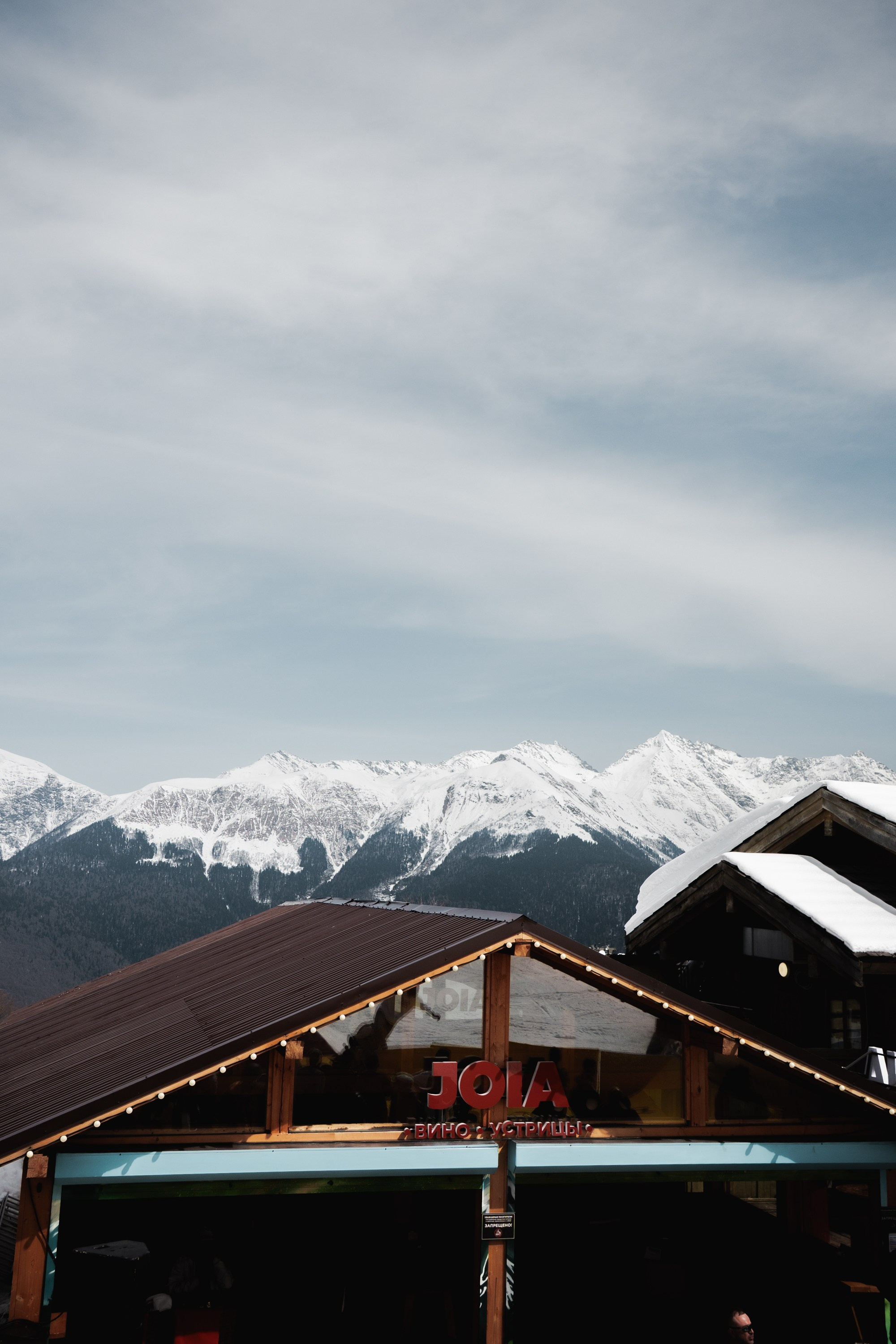 Yandex 360 & NewStarCamp