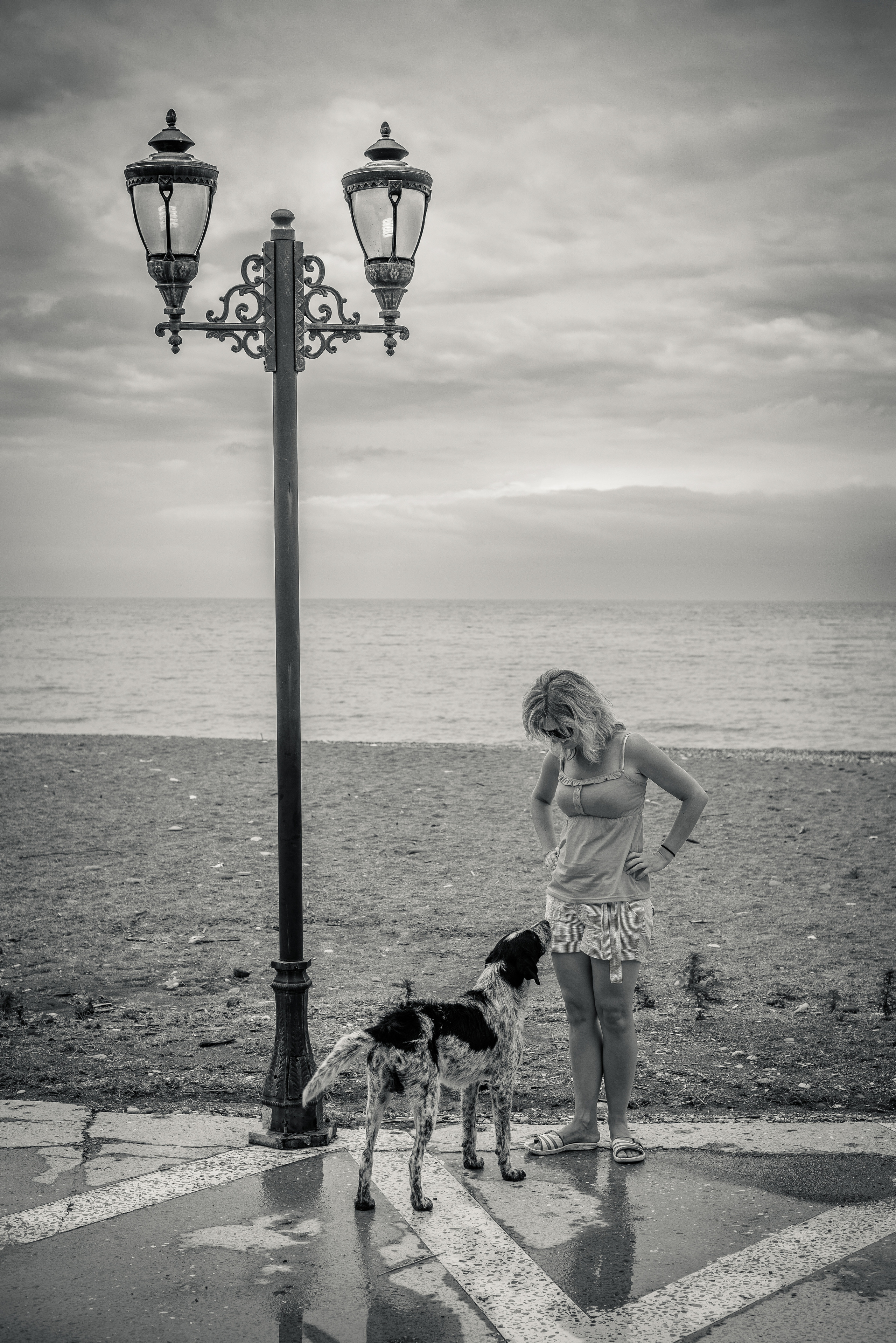 Девушка и собака смотрят друг на друга около фонаря в парке