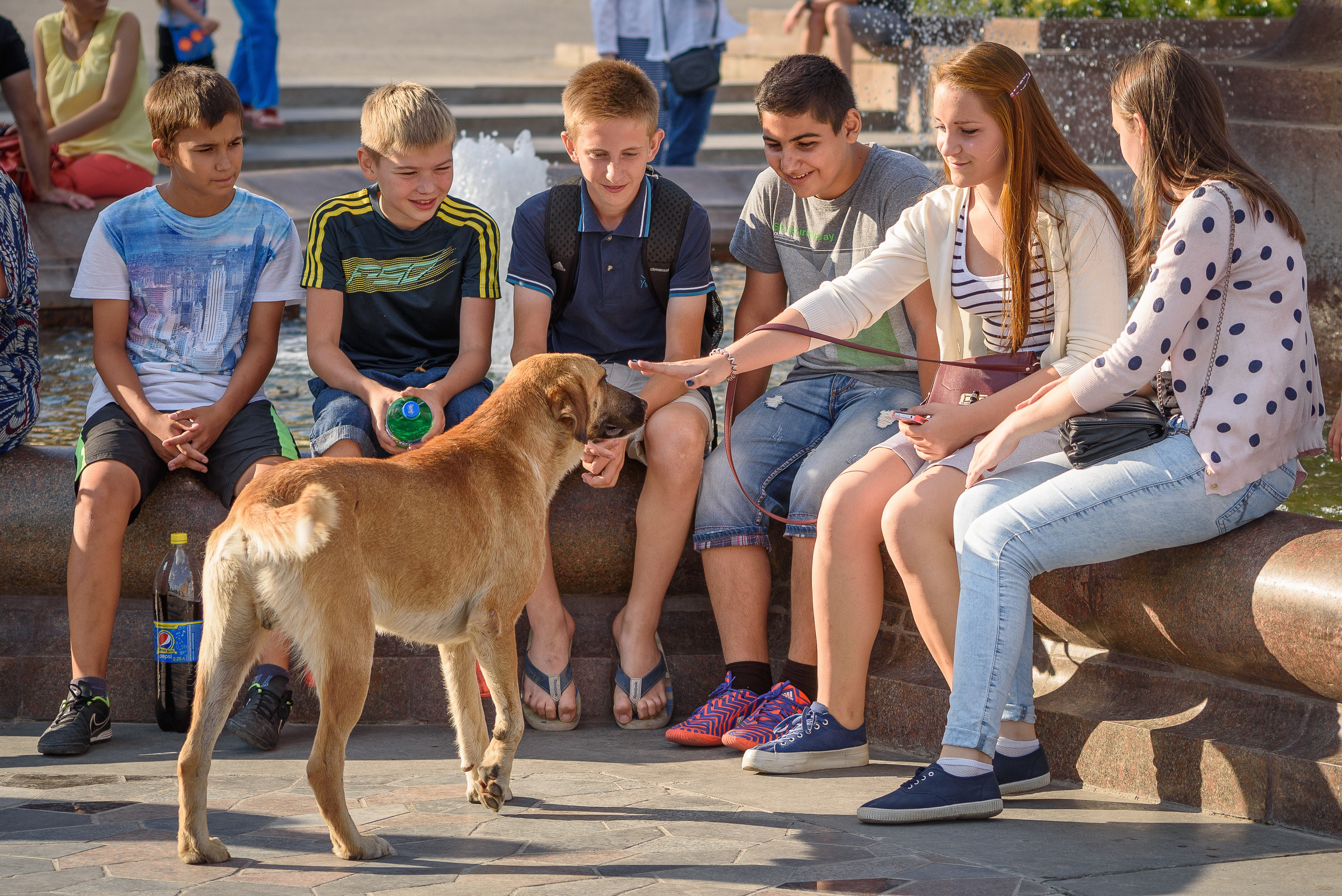 Группа подростков играют с собакой
