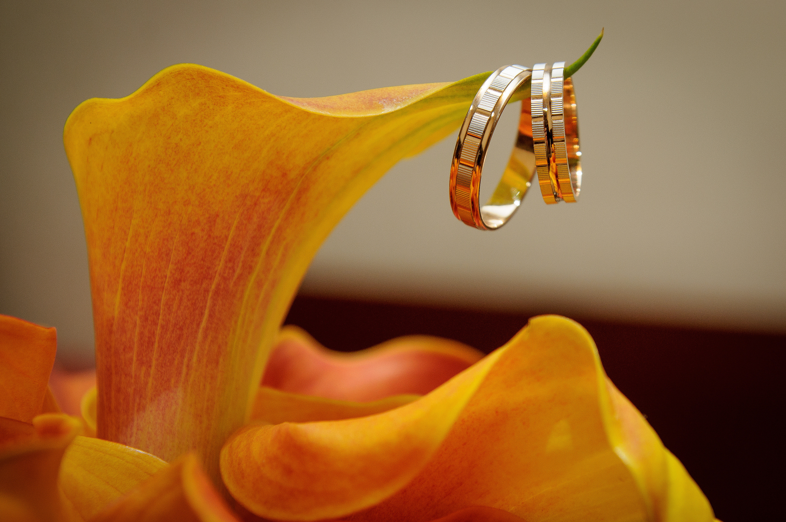 Обручальные кольца висят на оранжевом цветке