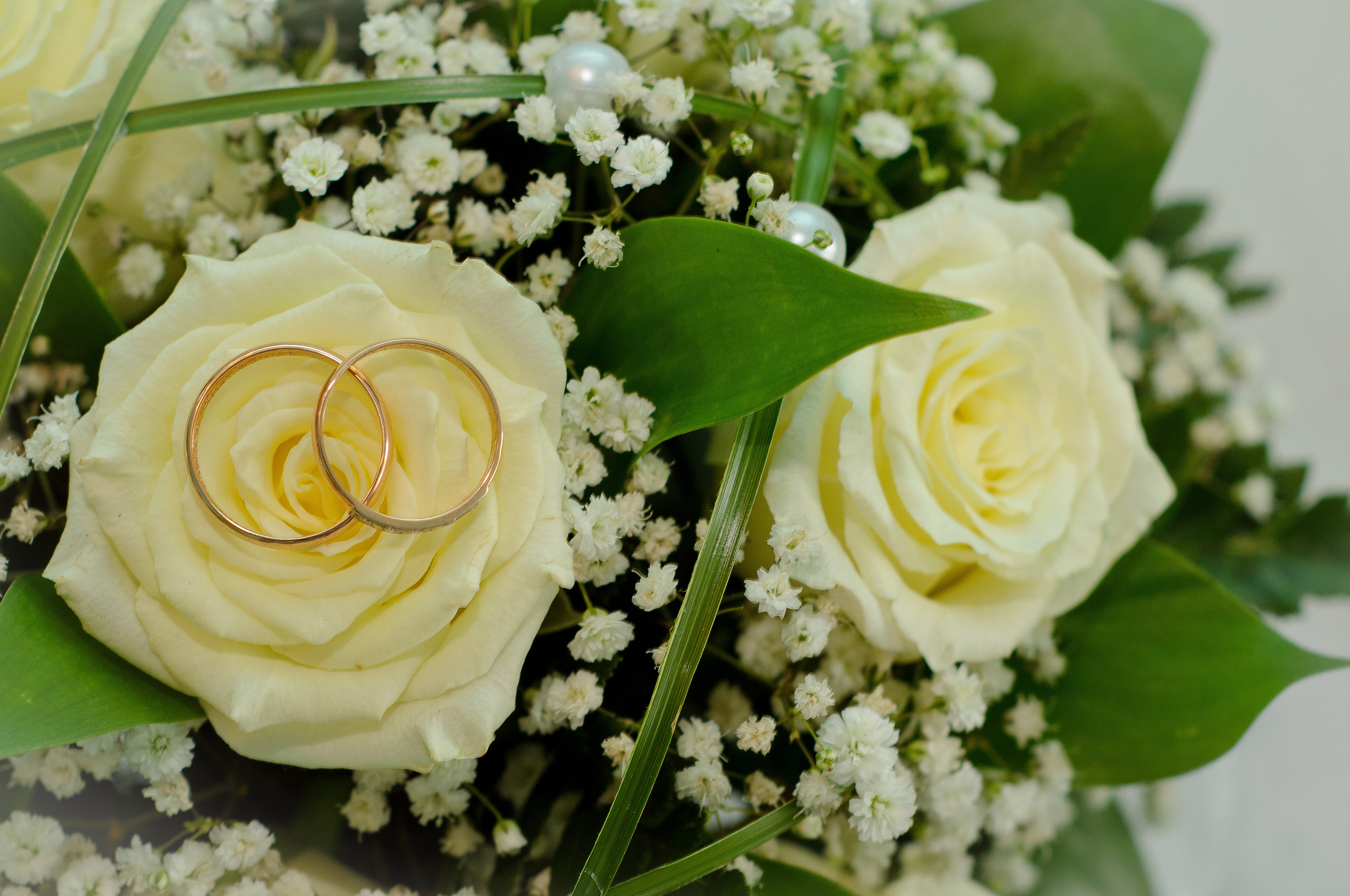 Обручальные кольца лежат на свадебном букете из роз