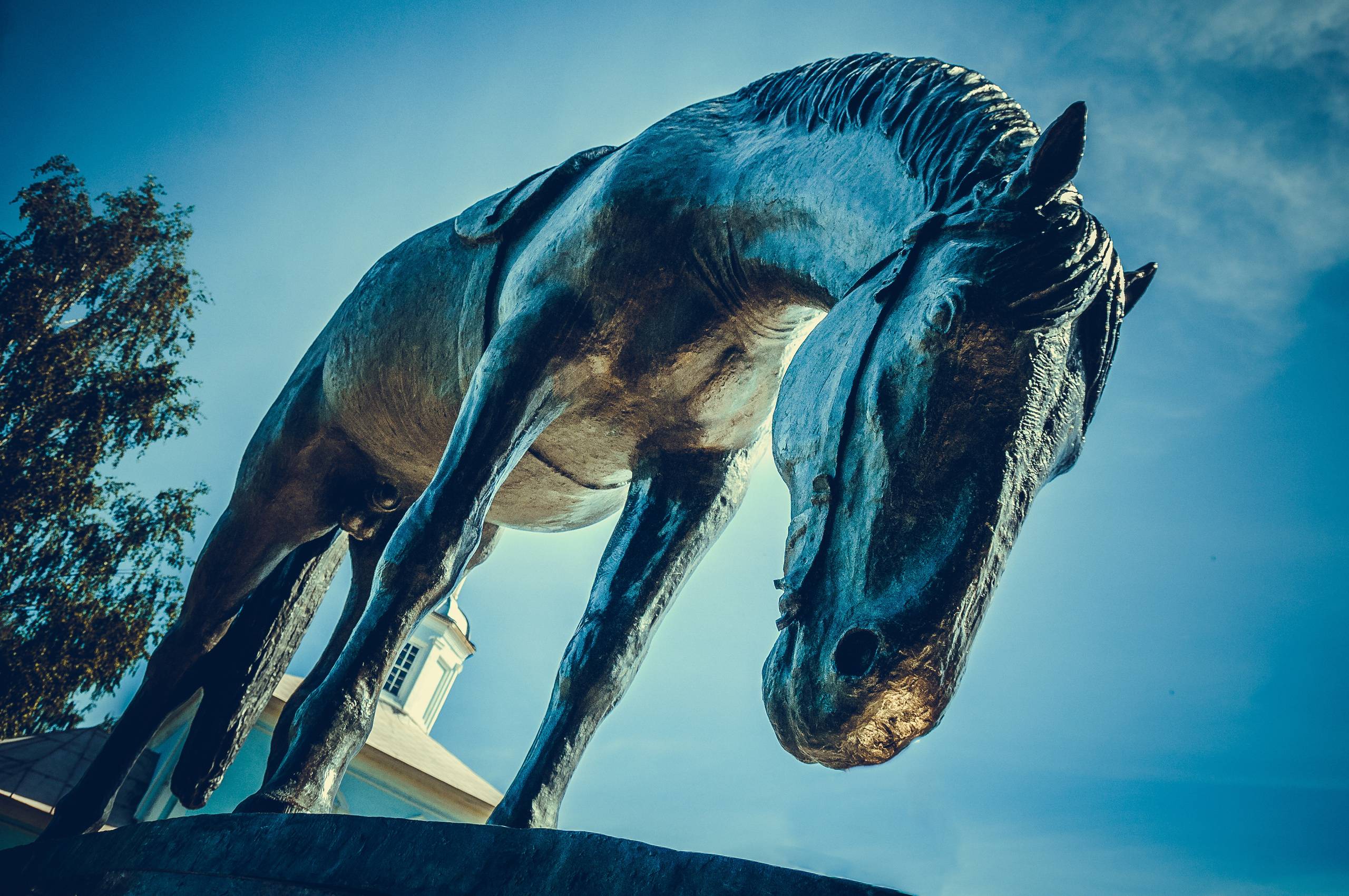 Памятник Батюшкову в Вологде, конь