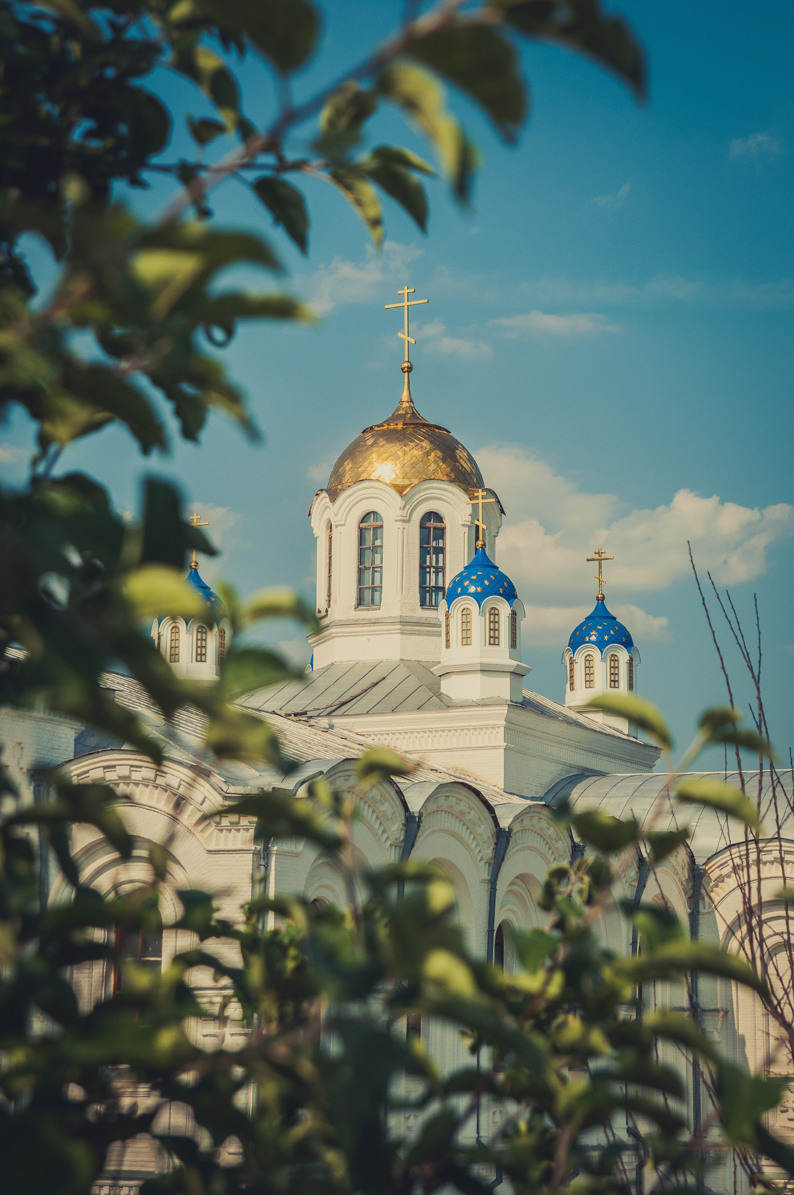 Купол Усть-Медведицкого Спасо-Преображенского монастыря сквозь ветви деревьев
