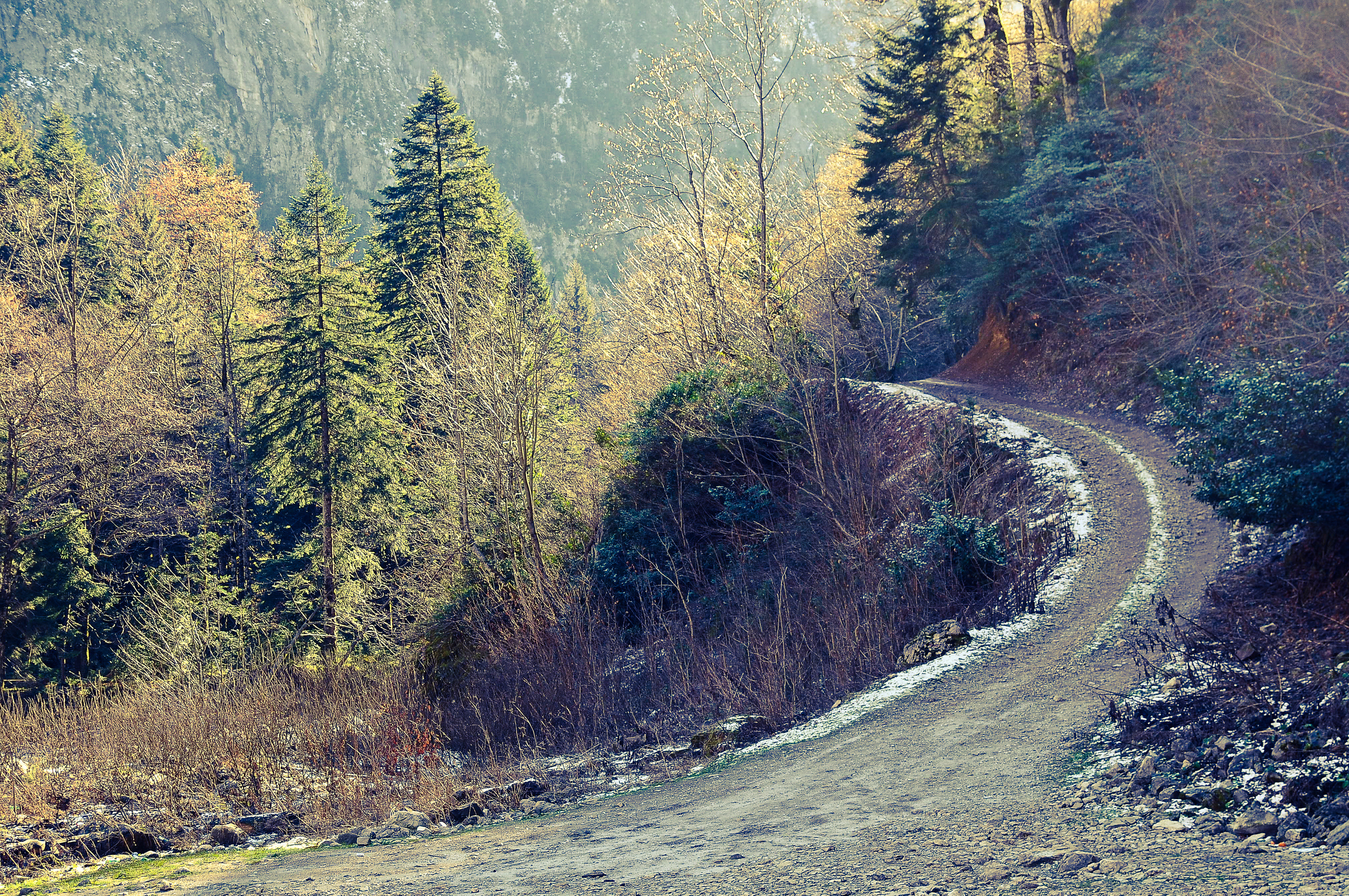 Дорога в горах Абхазии, уходящая вдаль