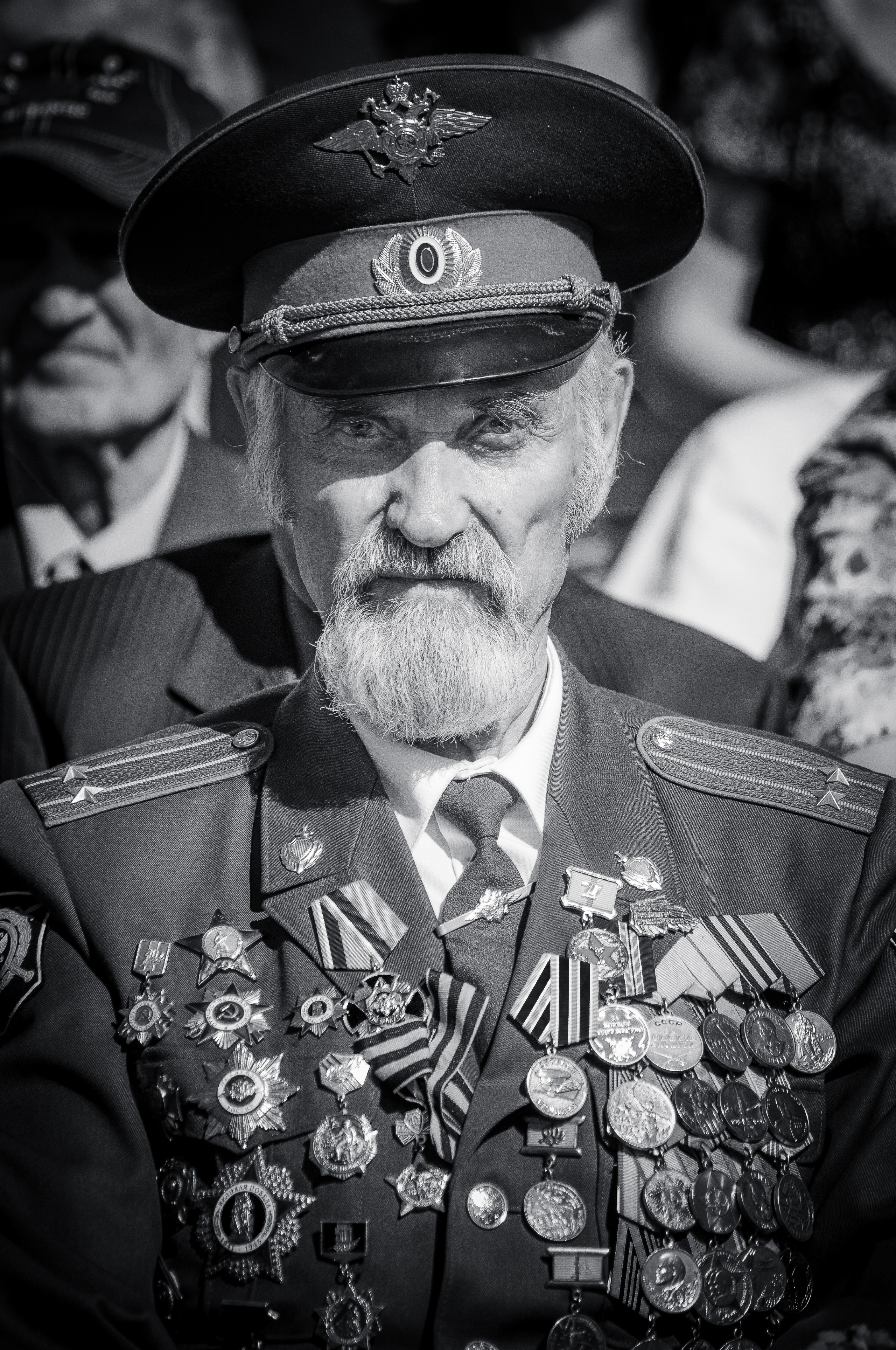 Бородатый ветеран с медалями и орденами на груди