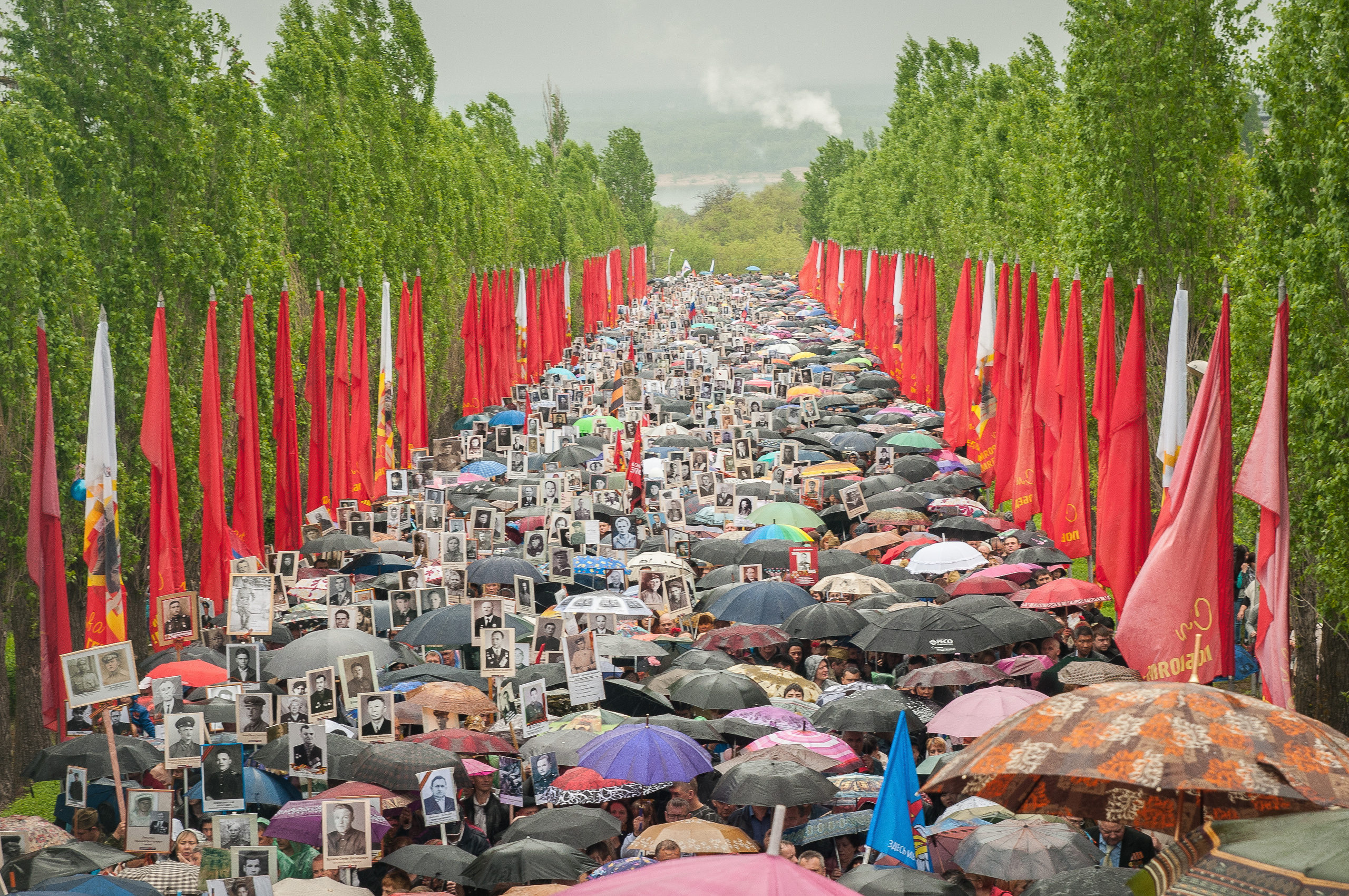 Толпа людей 9 мая на Аллее трапецеидальных тополей поднимается на Мамаев курган