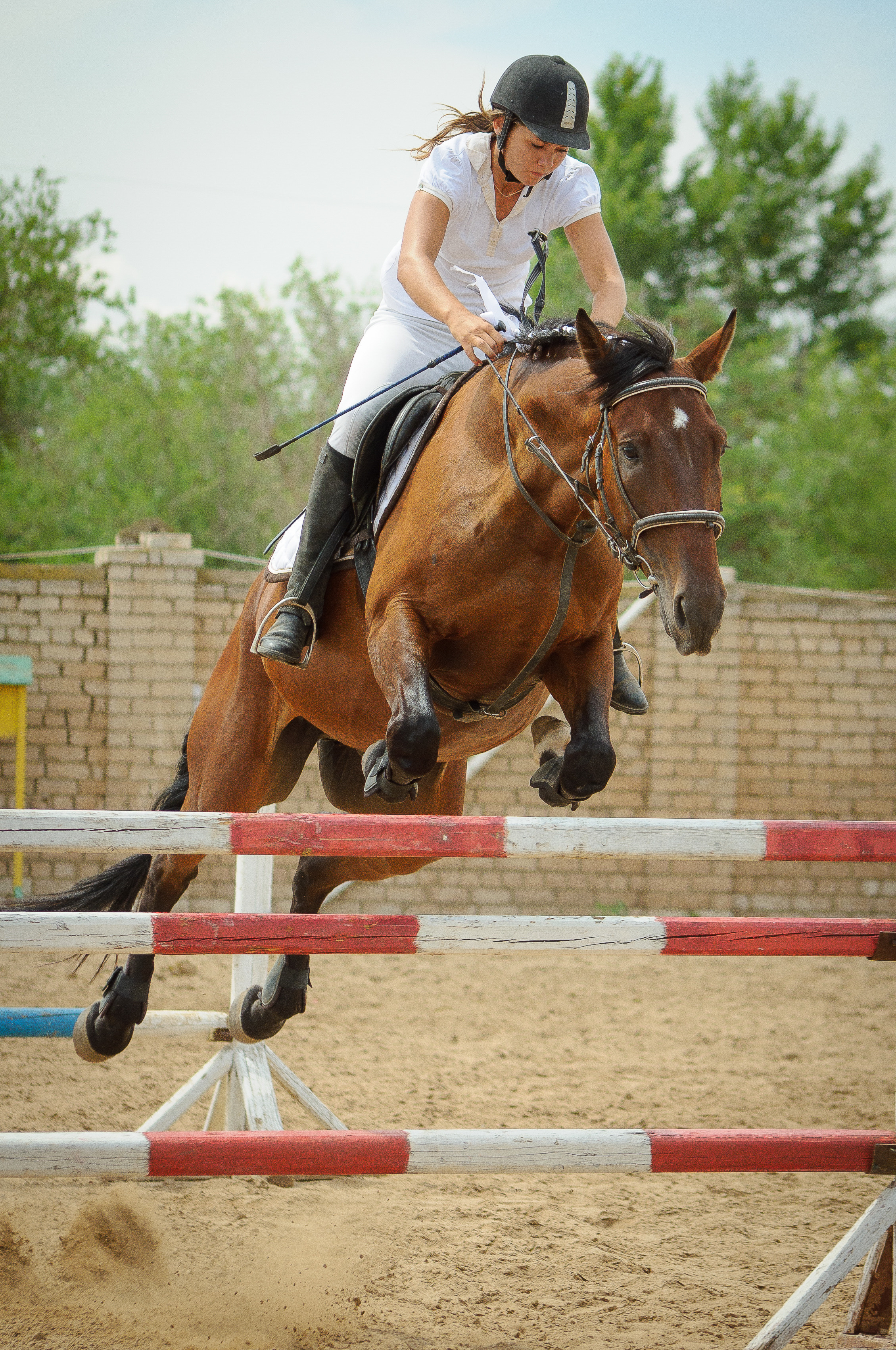 Девушка на гнедой лошади перепрыгивает препятствие