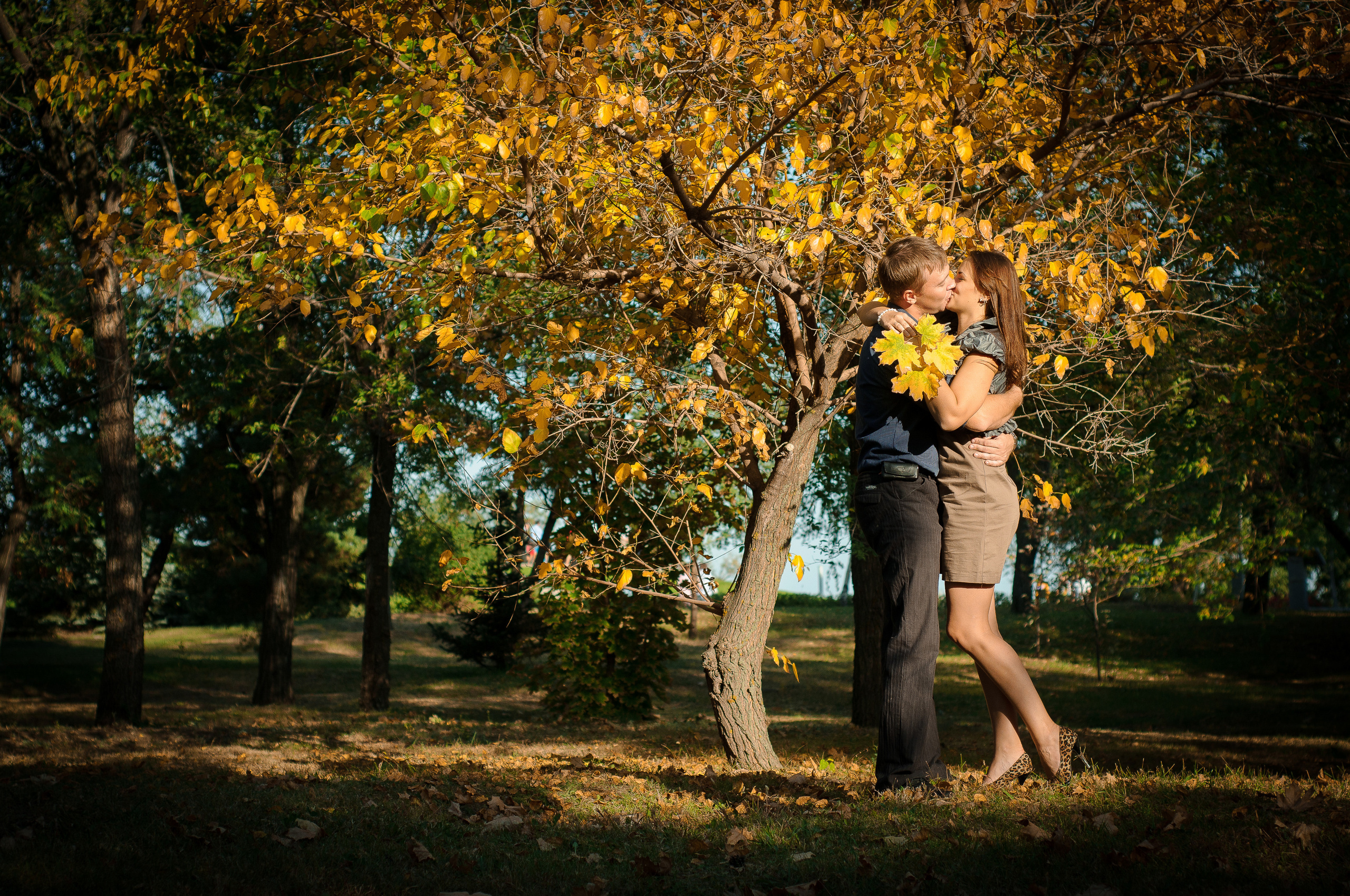 Девушка и парень с кленовыми листьями в руках целуются в парке