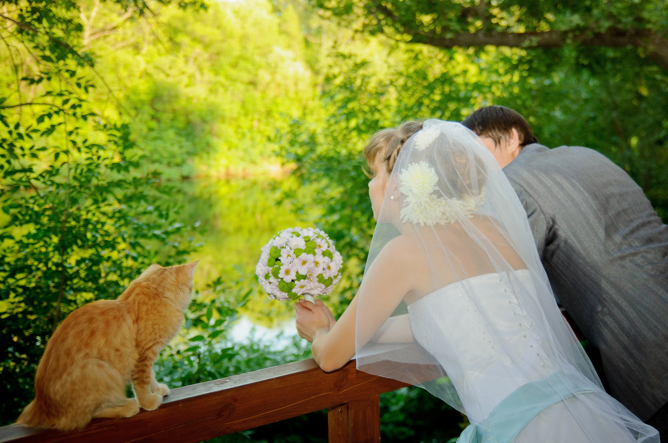 Рыжий кот сидит на перилах балкона рядом с невестой