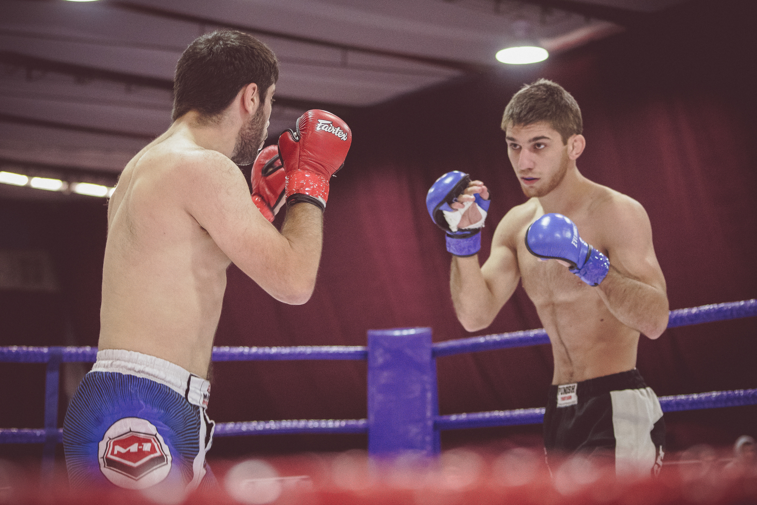 Бойцы  MMA в красных и синих перчатках на ринге