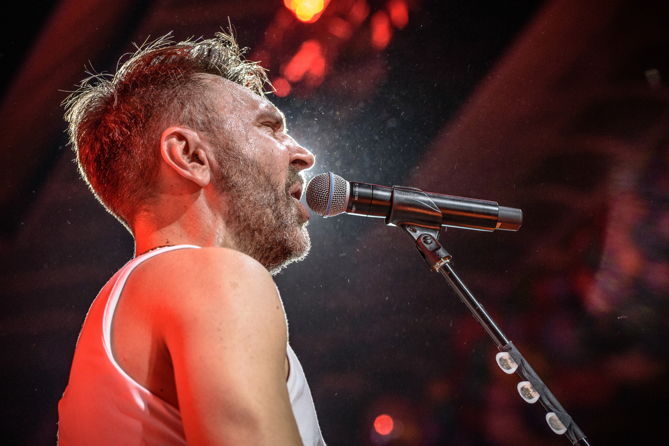 Сергей Шнуров поёт на концерте