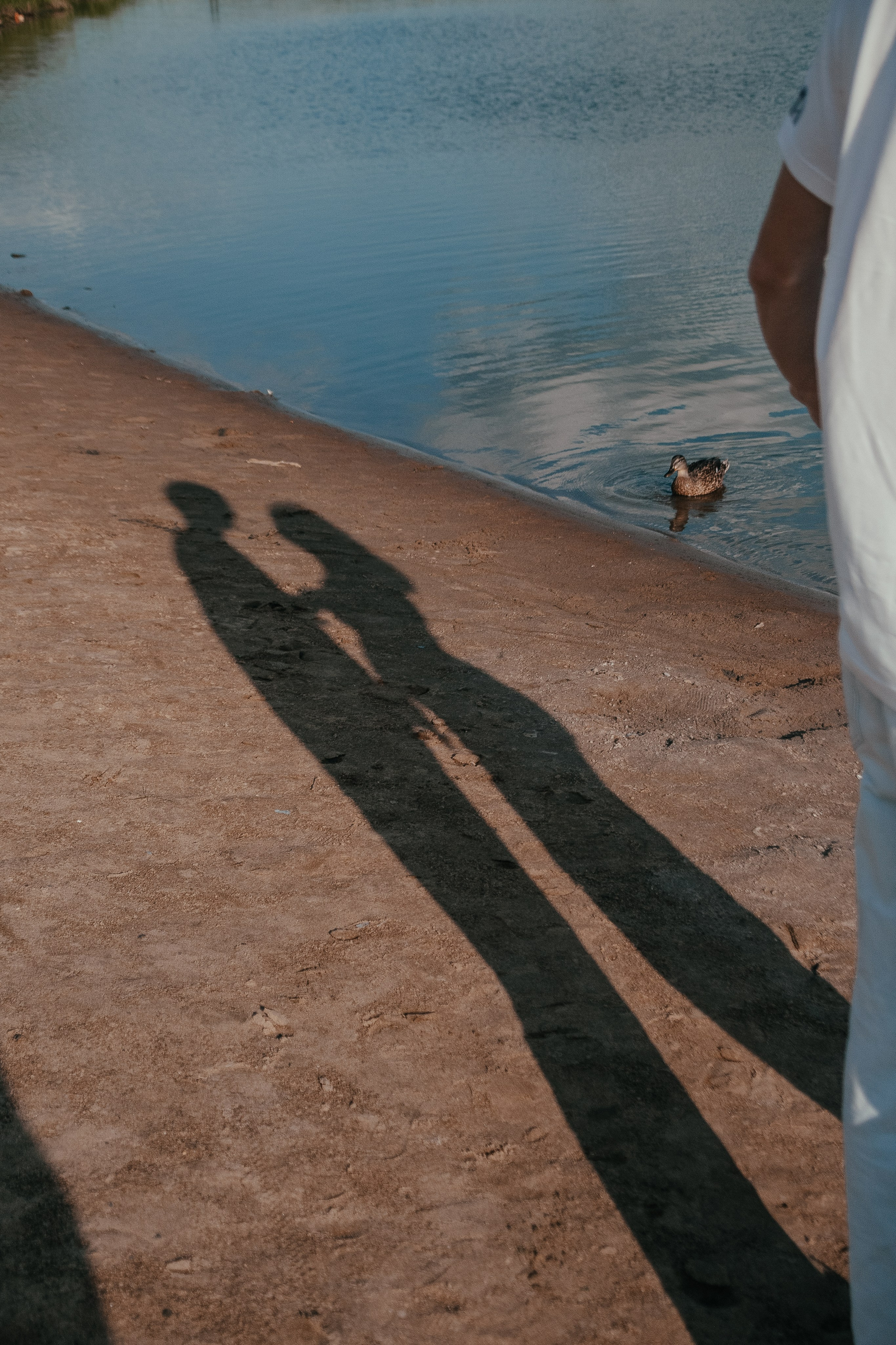 Елизавета и Иван. Свадебный и семейный фотограф г. Ярославль Савинская Анастасия