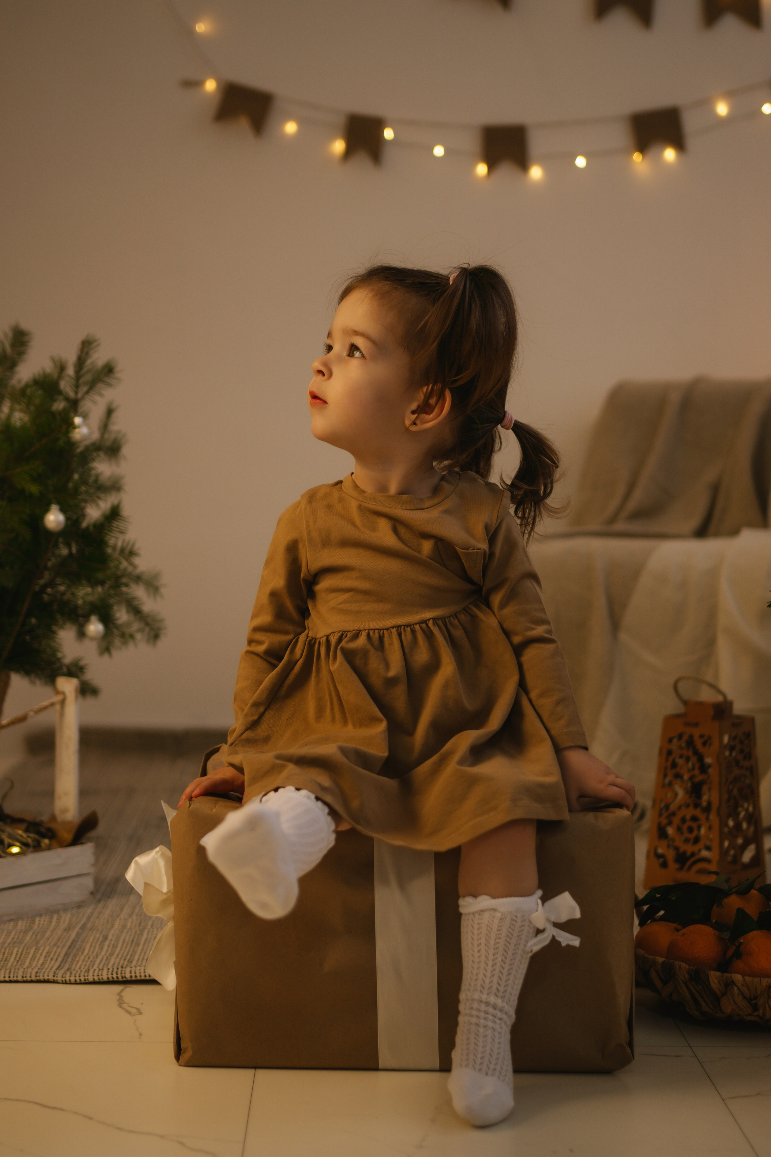 Новогодний Фотопроект в студии Art is…. Photographer in Montenegro